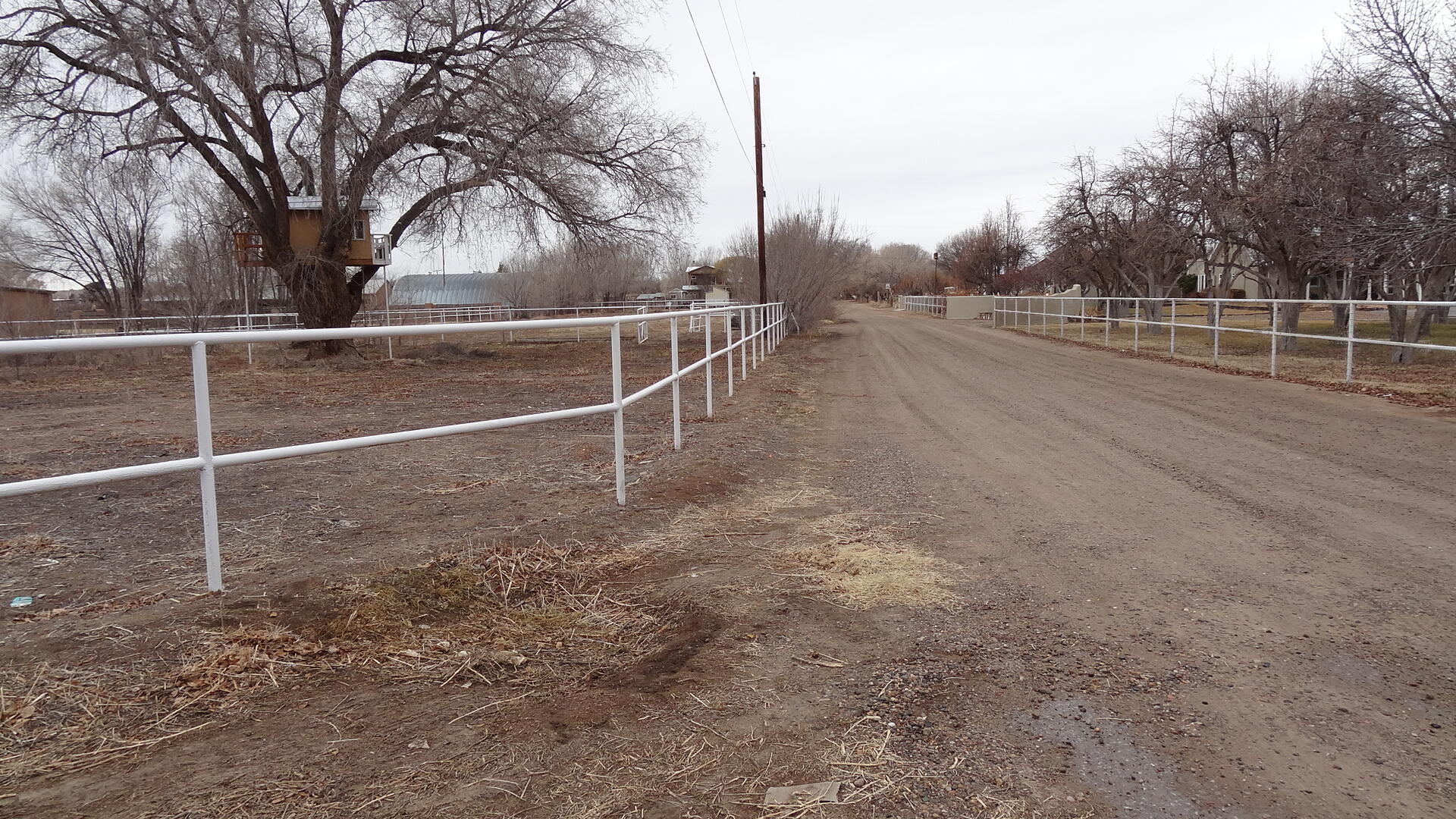 6525 Corrales Road, Corrales, New Mexico image 31