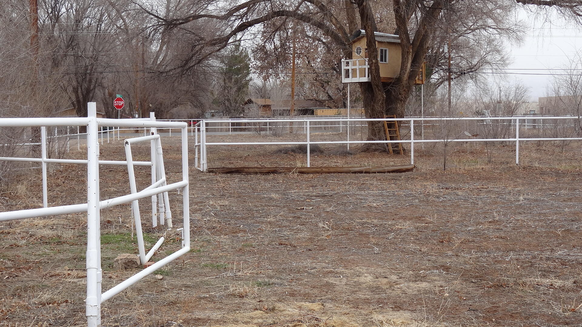 6525 Corrales Road, Corrales, New Mexico image 19