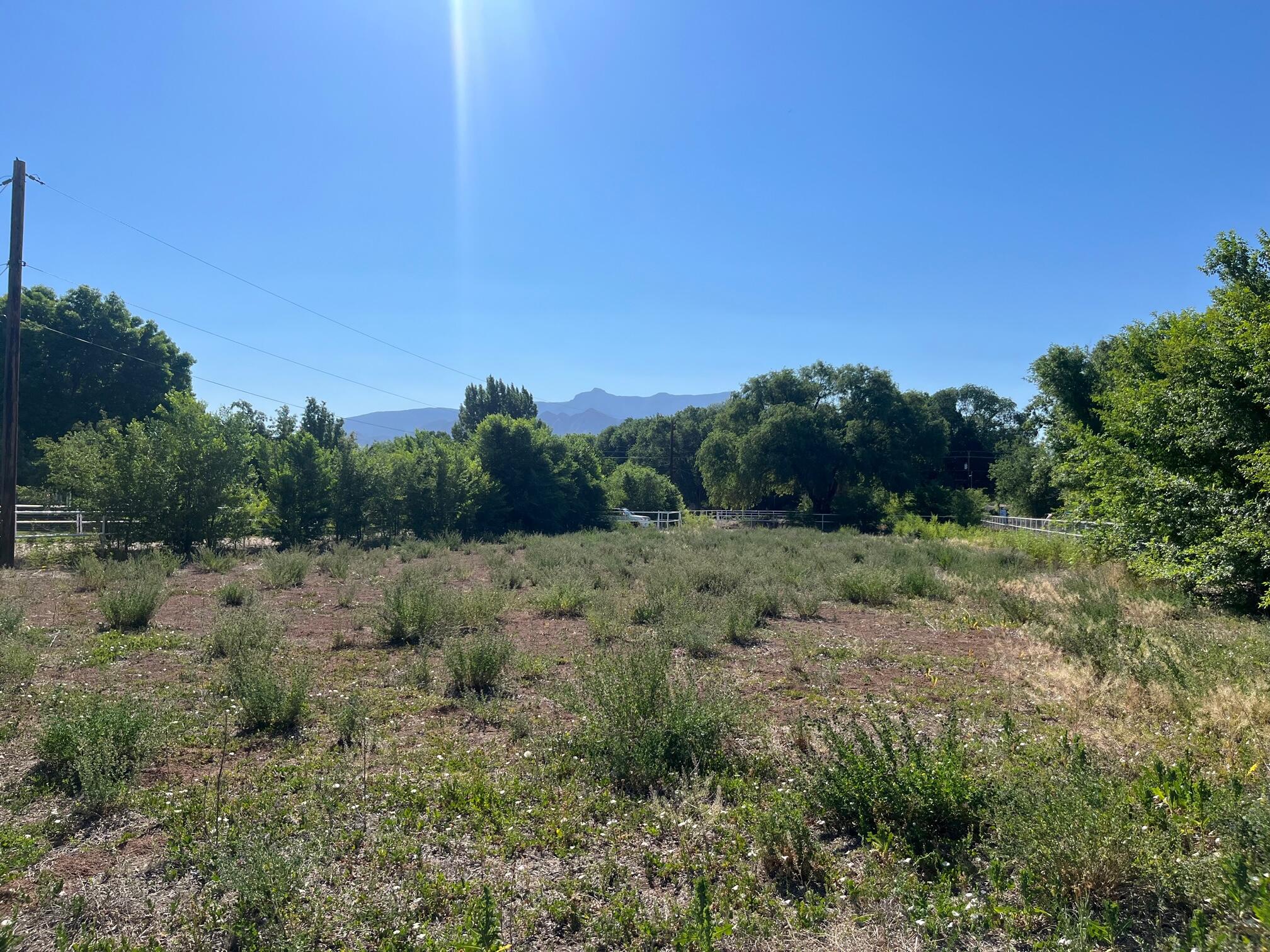 6525 Corrales Road, Corrales, New Mexico image 1