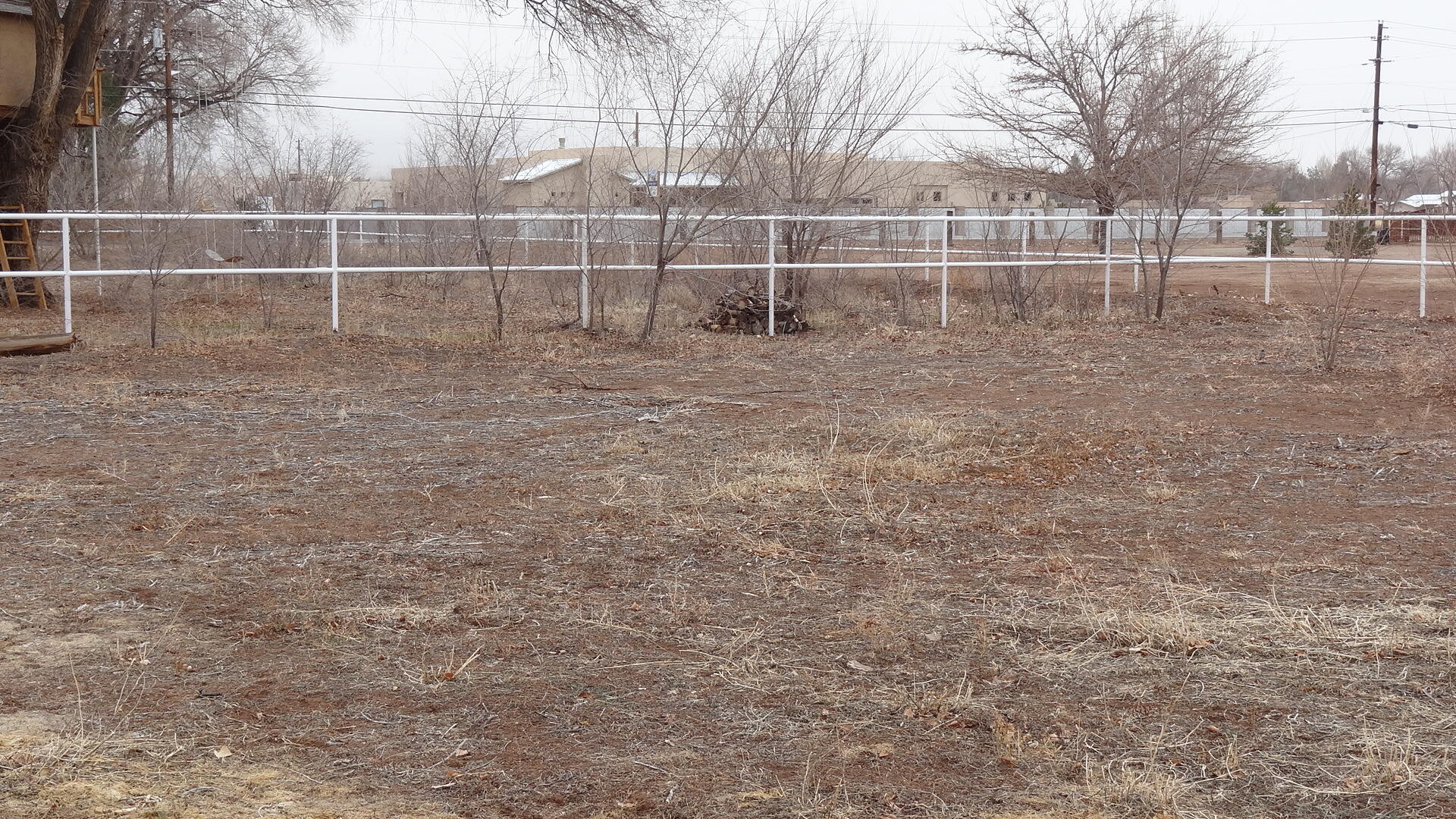 6525 Corrales Road, Corrales, New Mexico image 20