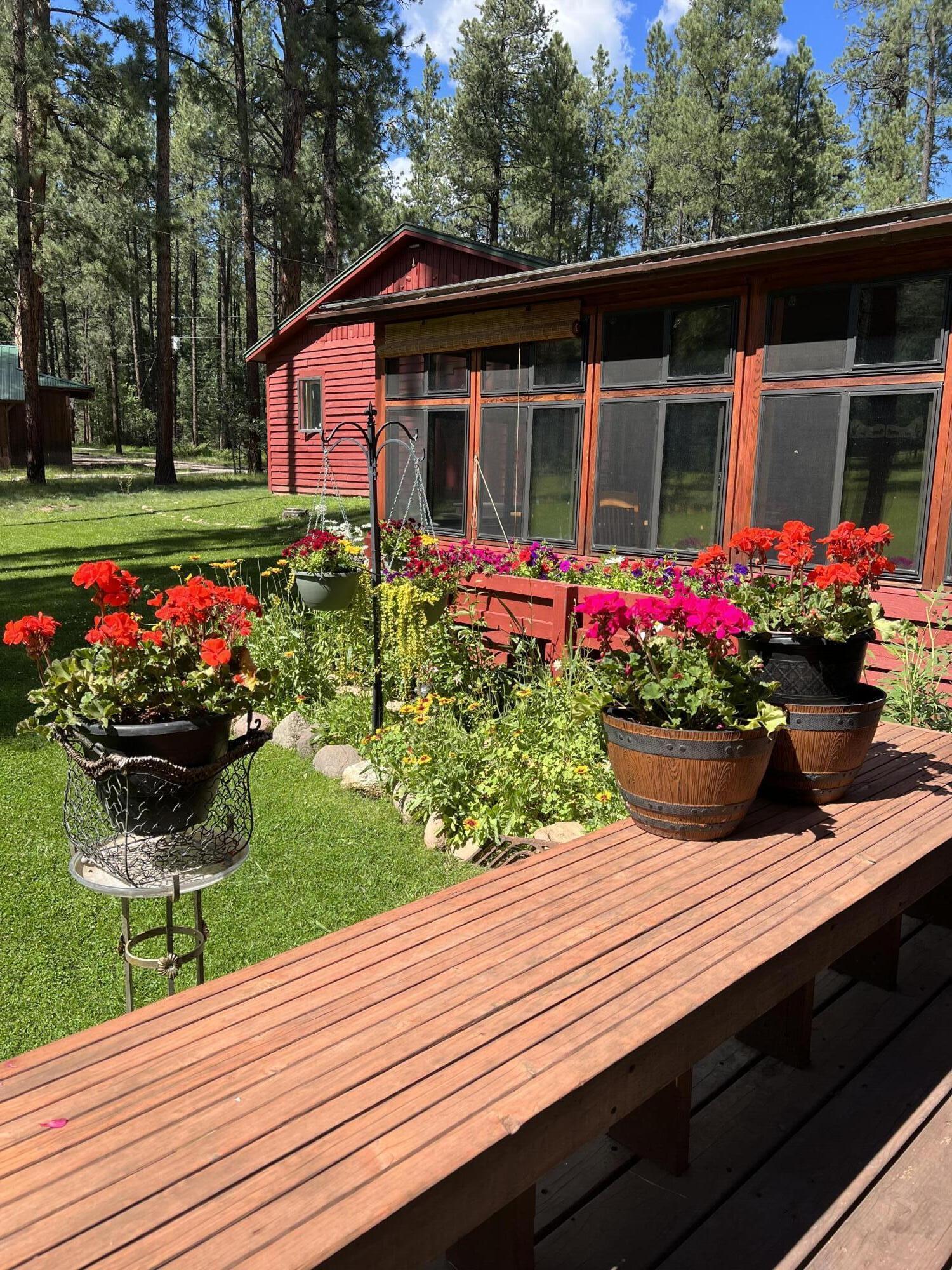 367 Horseshoe Loop, Jemez Springs, New Mexico image 2