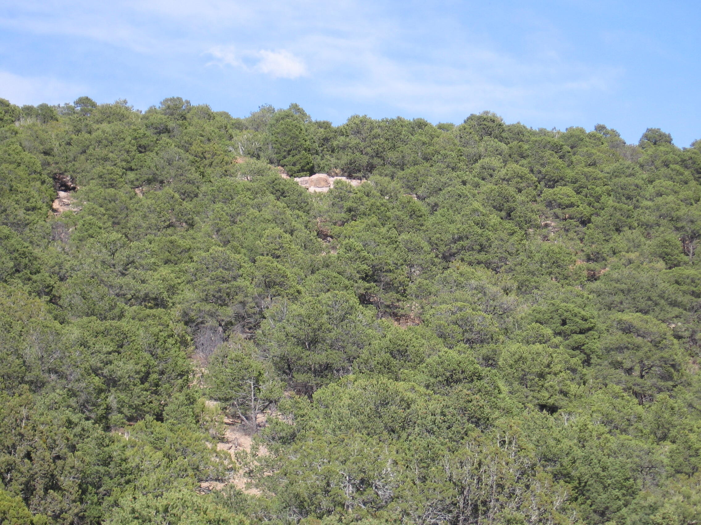 Meadowland Subdivision, Tijeras, New Mexico image 12