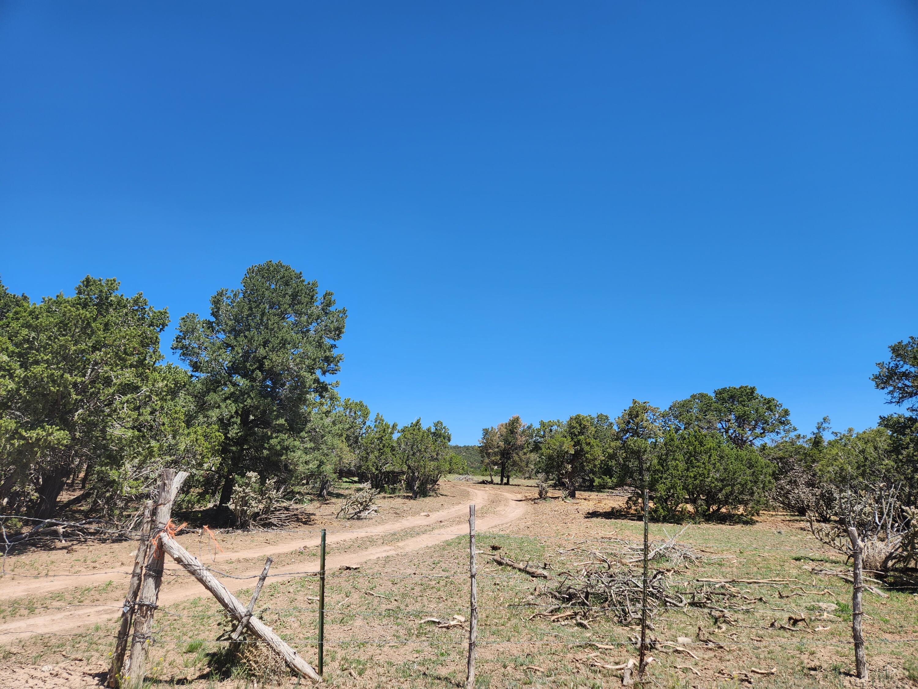 Meadowland Subdivision, Tijeras, New Mexico image 1