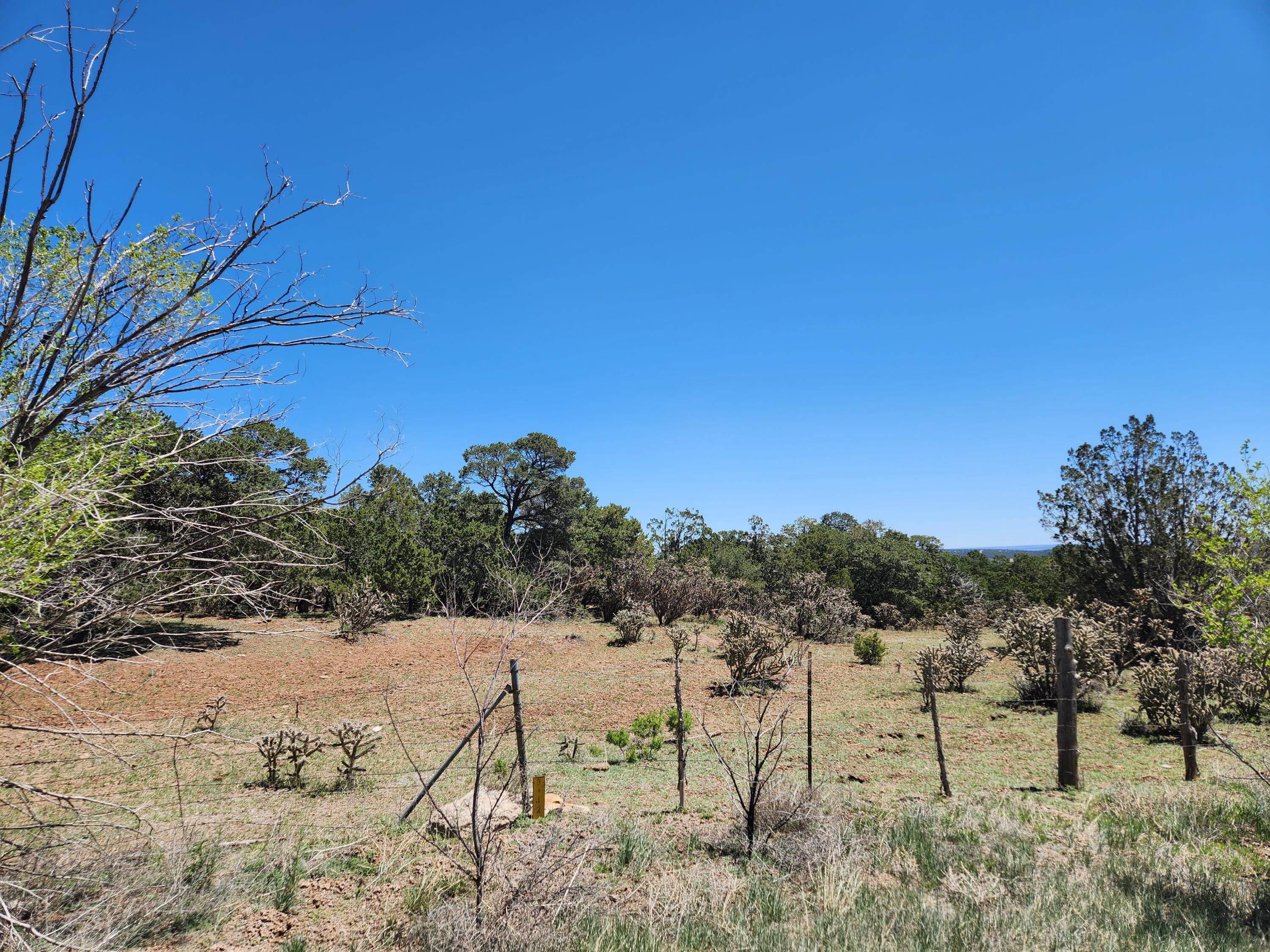 Meadowland Subdivision, Tijeras, New Mexico image 3