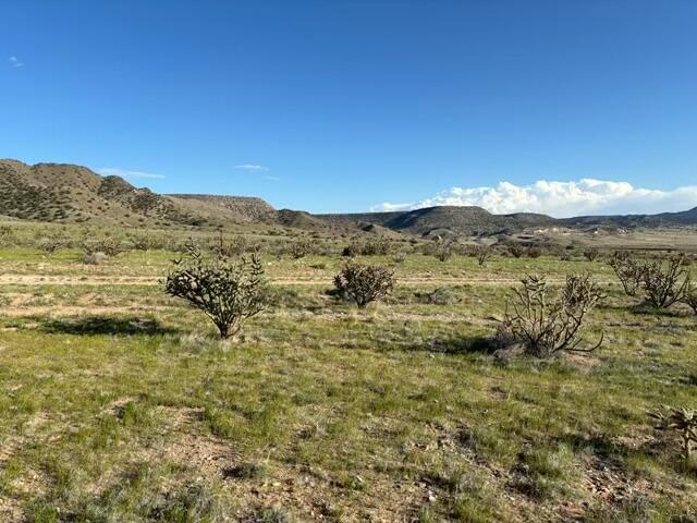 Trueno Loop, Belen, New Mexico image 3