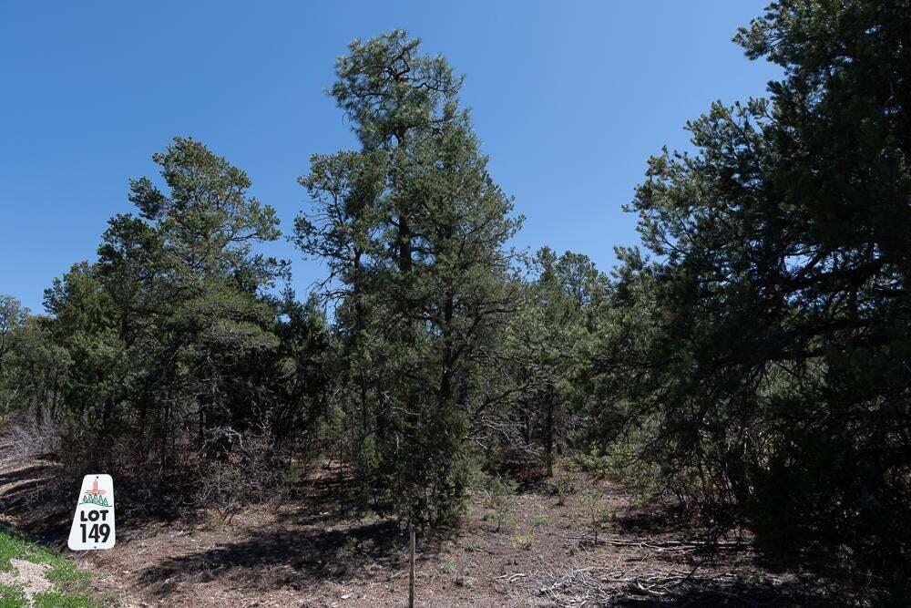 14 Los Pecos Lp Loop, Tijeras, New Mexico image 2