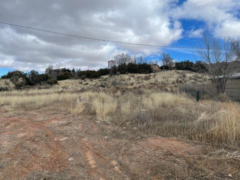 Vacant Land For Sale - Forest Park Road<br/> Milan, NM 87021