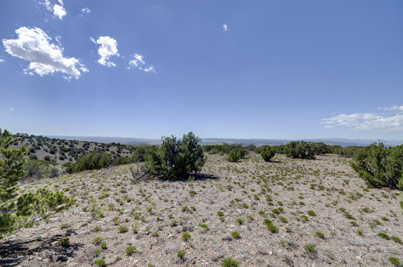 56 Camino Redondo, Placitas, New Mexico image 11