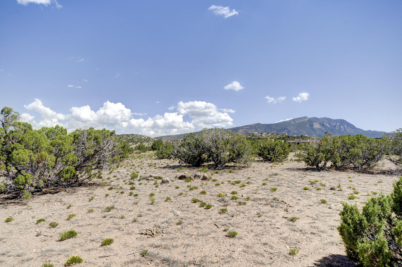 56 Camino Redondo, Placitas, New Mexico image 7