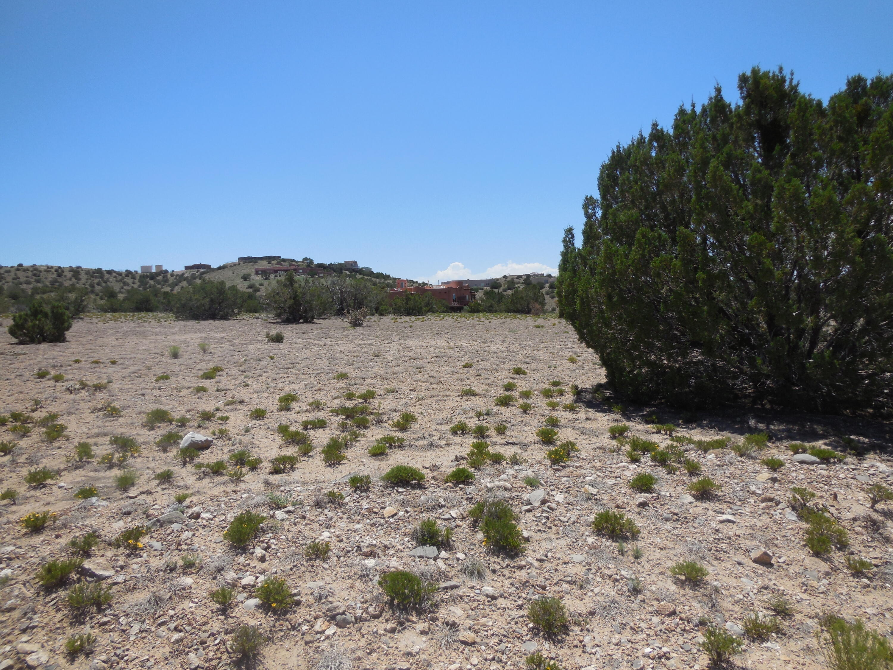 56 Camino Redondo, Placitas, New Mexico image 28