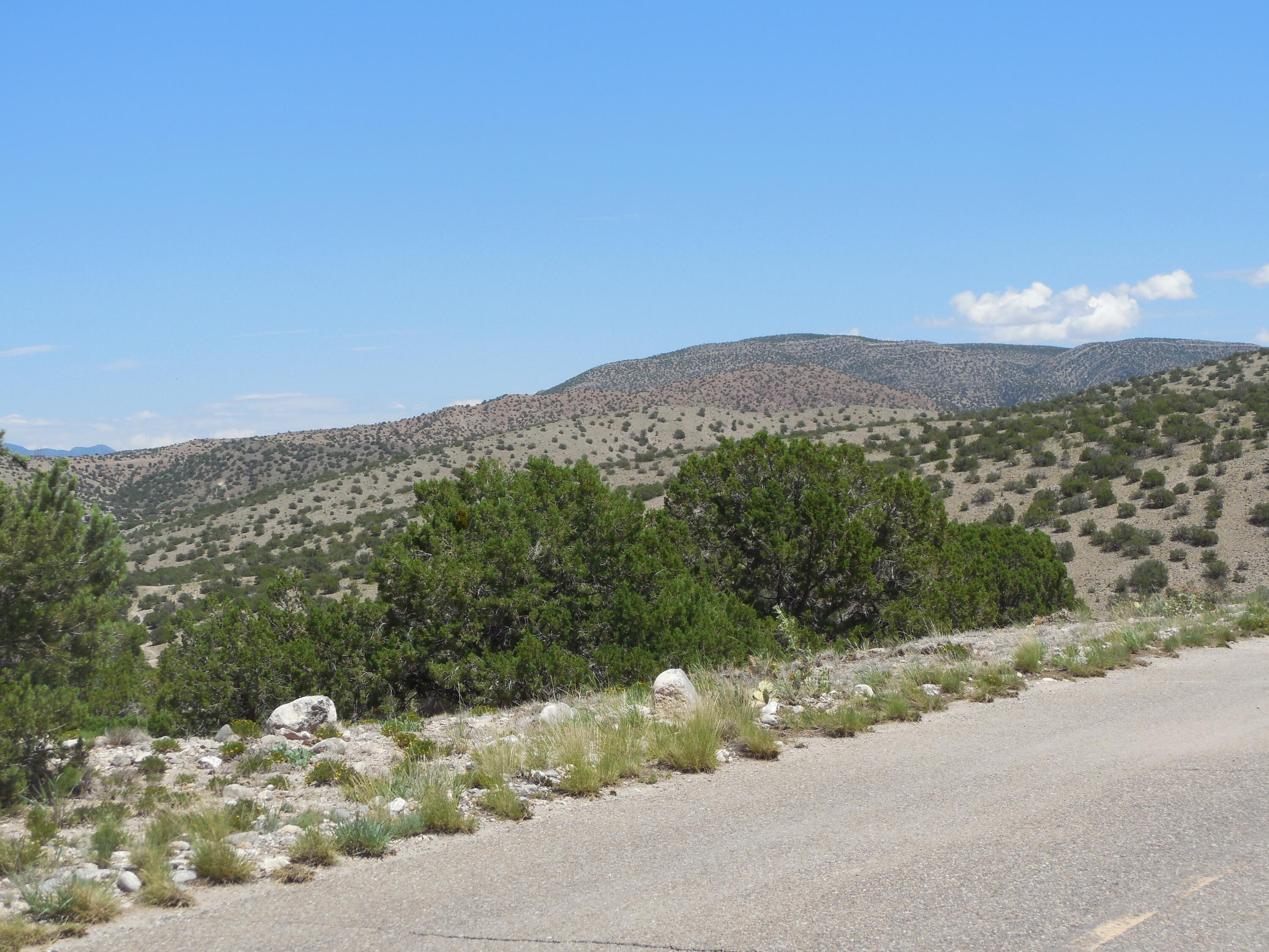 56 Camino Redondo, Placitas, New Mexico image 25