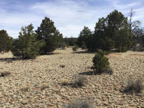 Vacant Land For Sale - LOTS 15-16 Country Lane<br/> Ramah, NM 87321