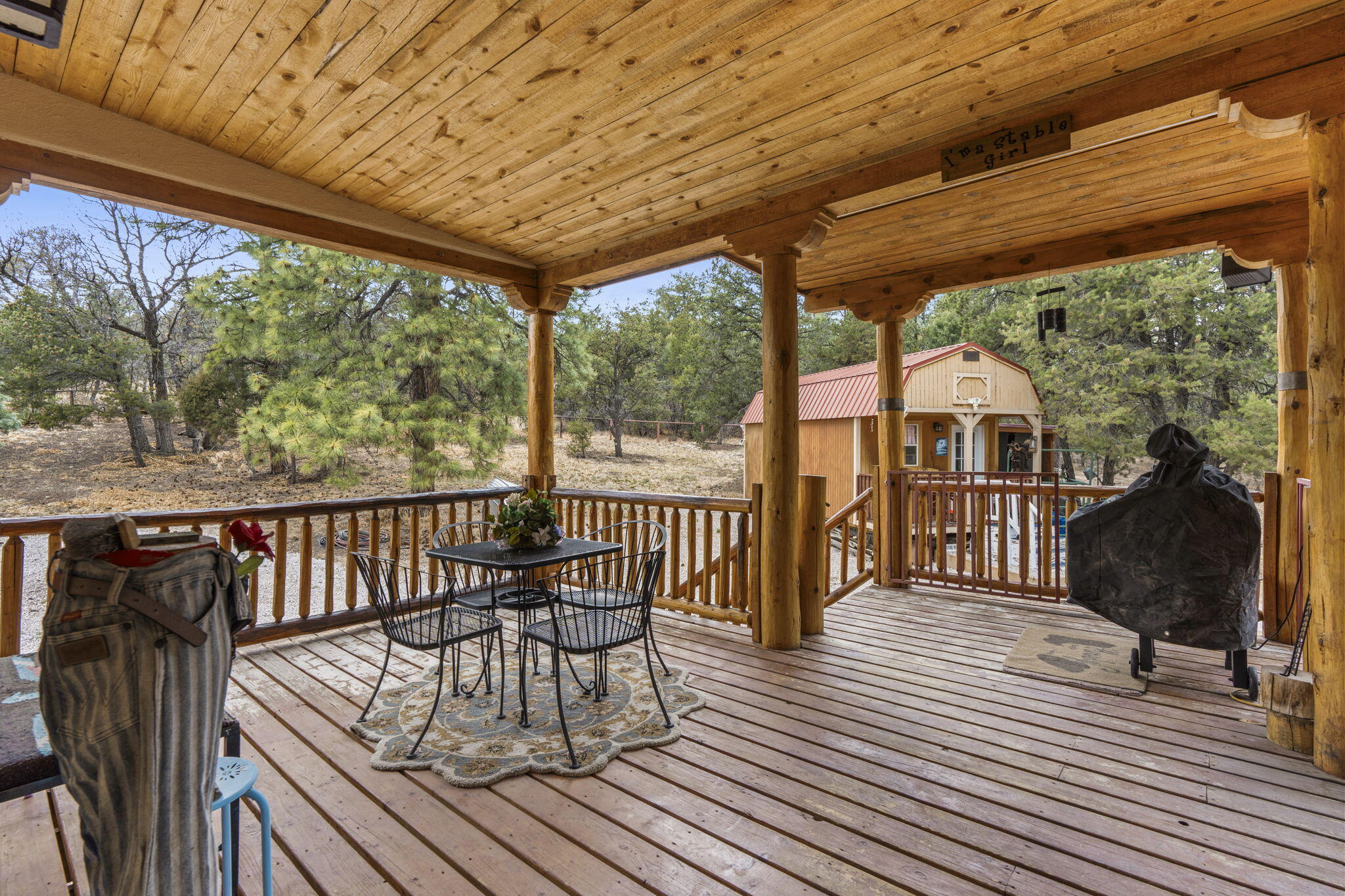 160 Black Bear Road, Ramah, New Mexico image 41