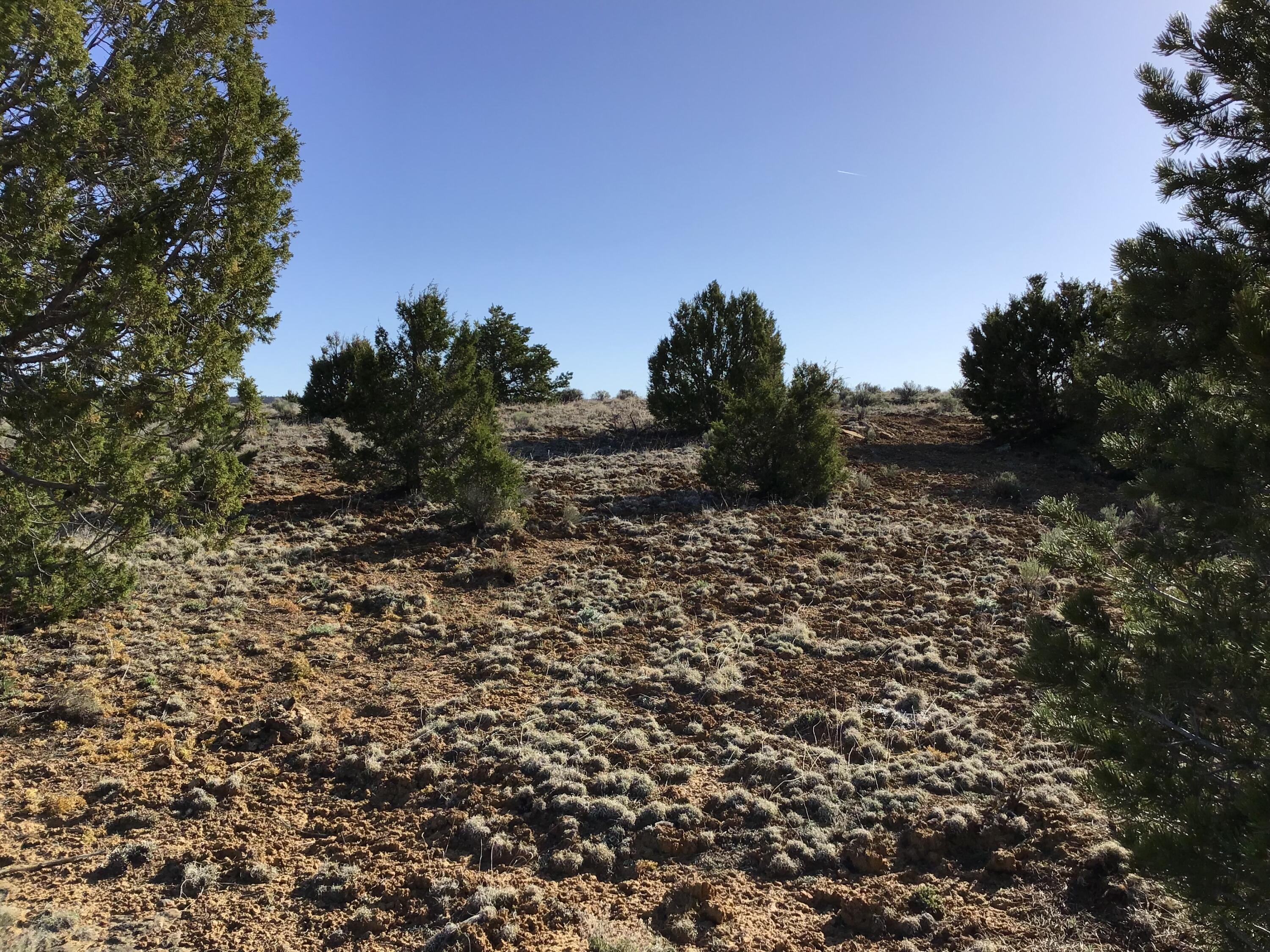 Lot 106 Ranch Drive, Ramah, New Mexico image 26