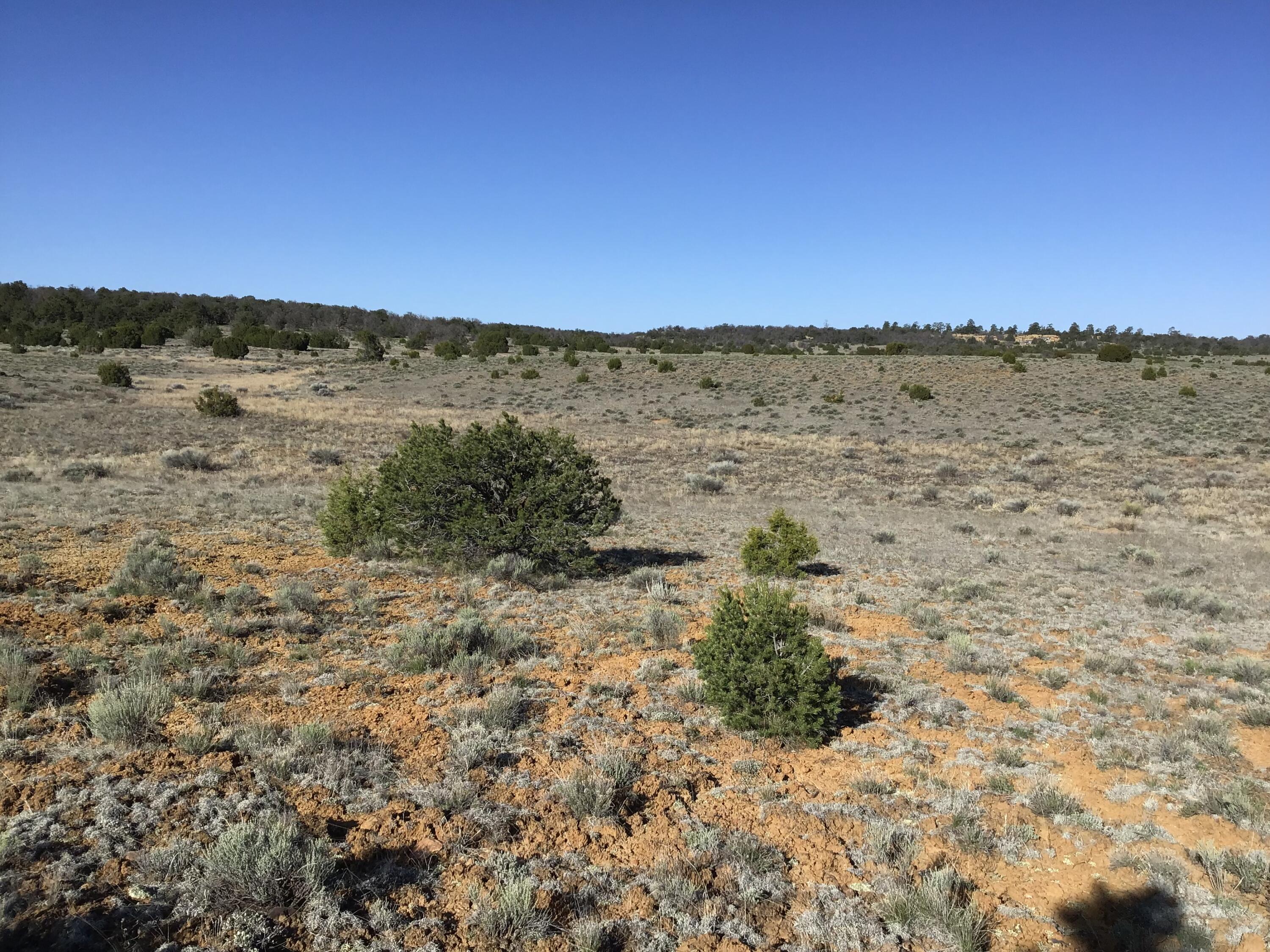 Lot 106 Ranch Drive, Ramah, New Mexico image 18