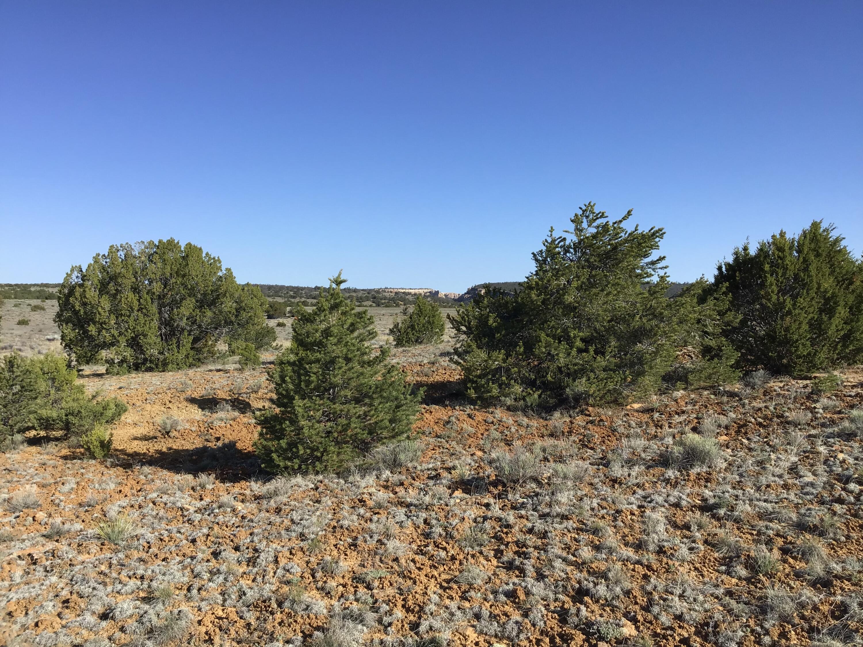 Lot 106 Ranch Drive, Ramah, New Mexico image 28