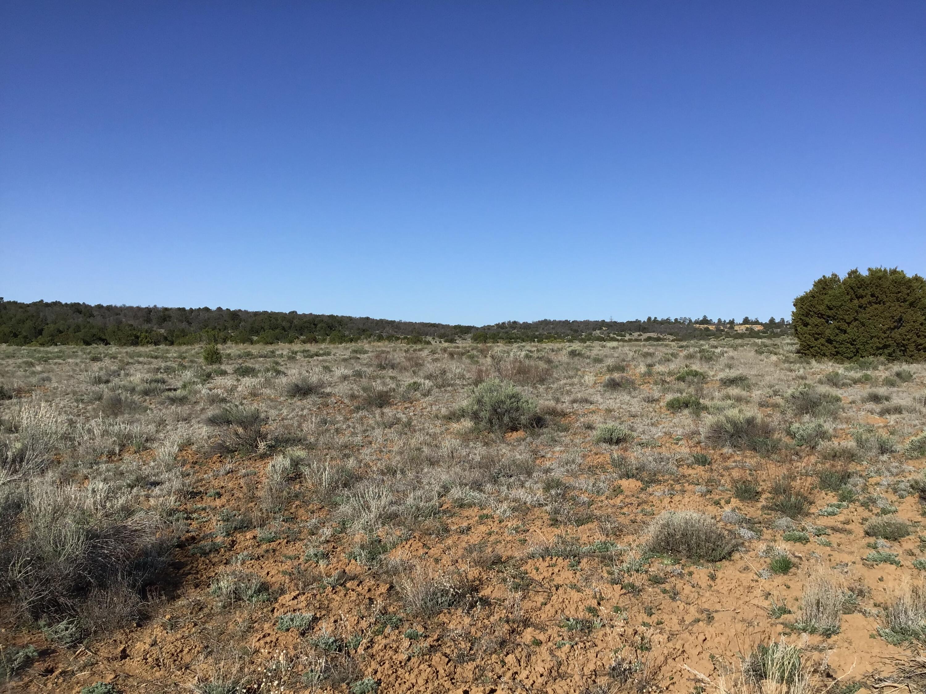 Lot 106 Ranch Drive, Ramah, New Mexico image 4