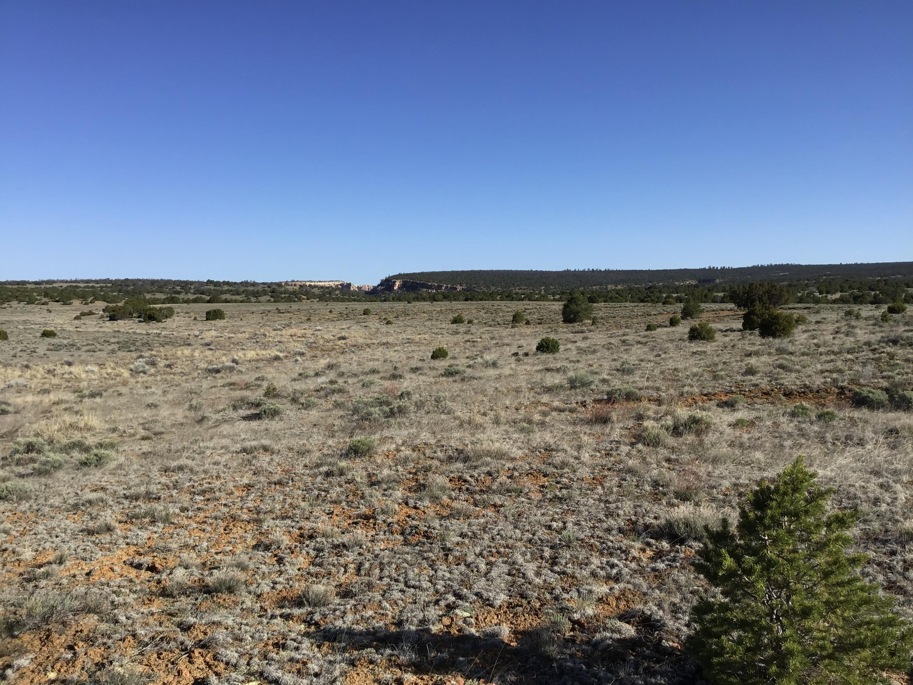 Lot 106 Ranch Drive, Ramah, New Mexico image 15