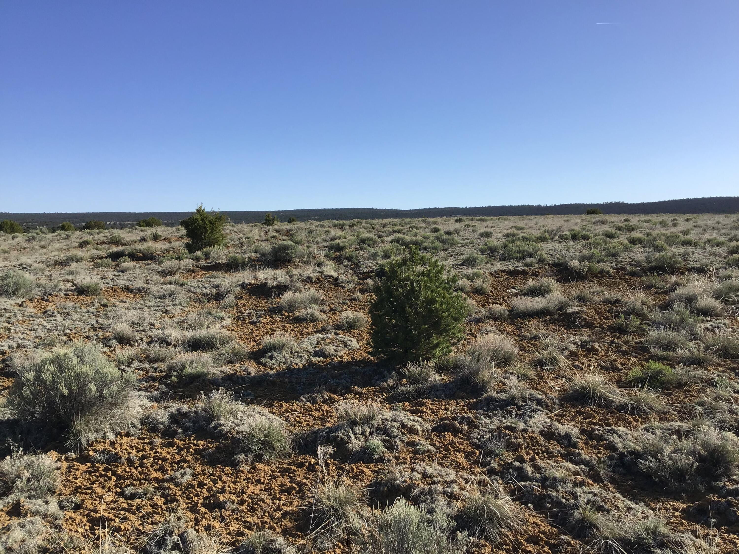 Lot 106 Ranch Drive, Ramah, New Mexico image 30