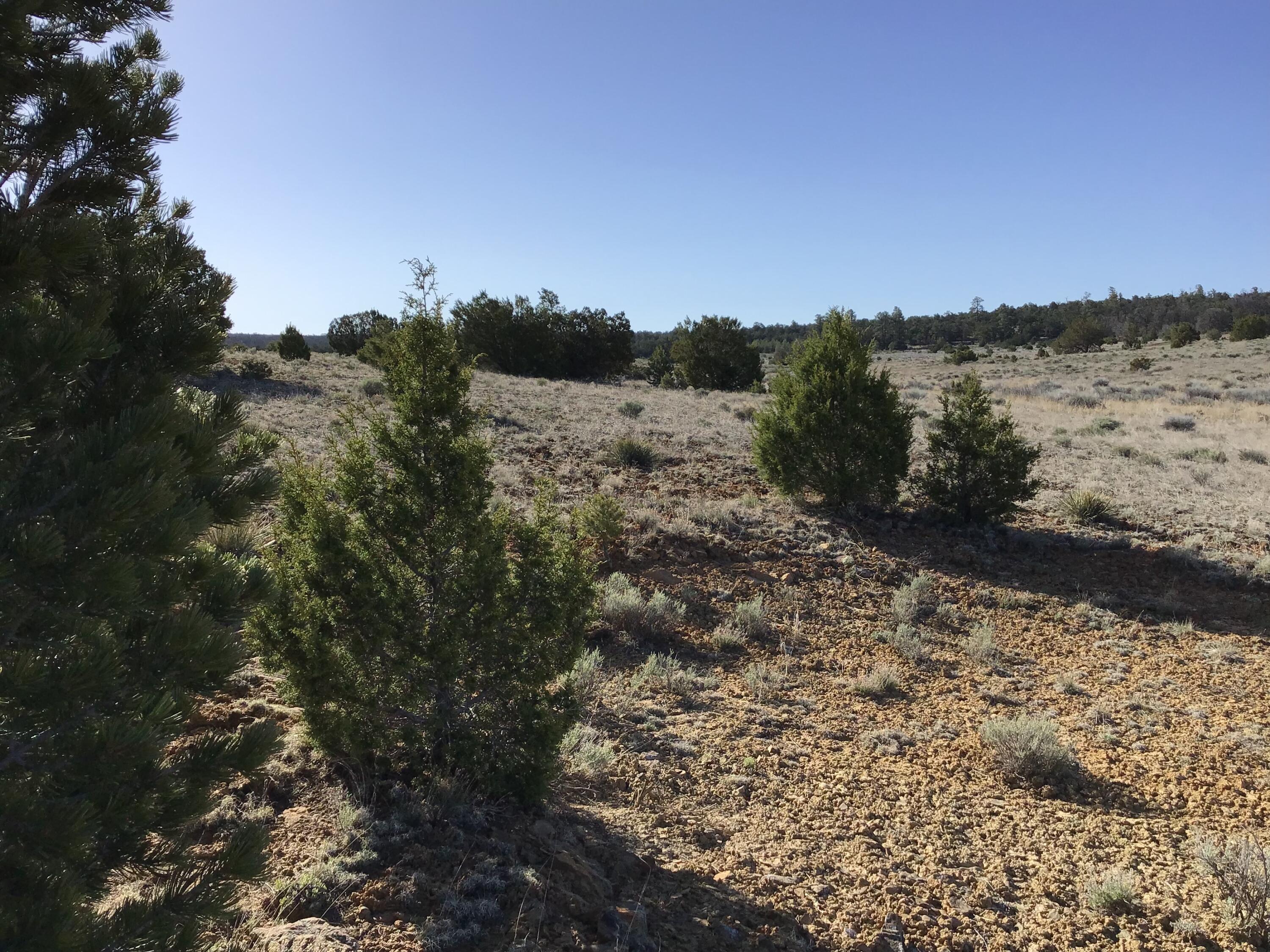 Lot 106 Ranch Drive, Ramah, New Mexico image 27