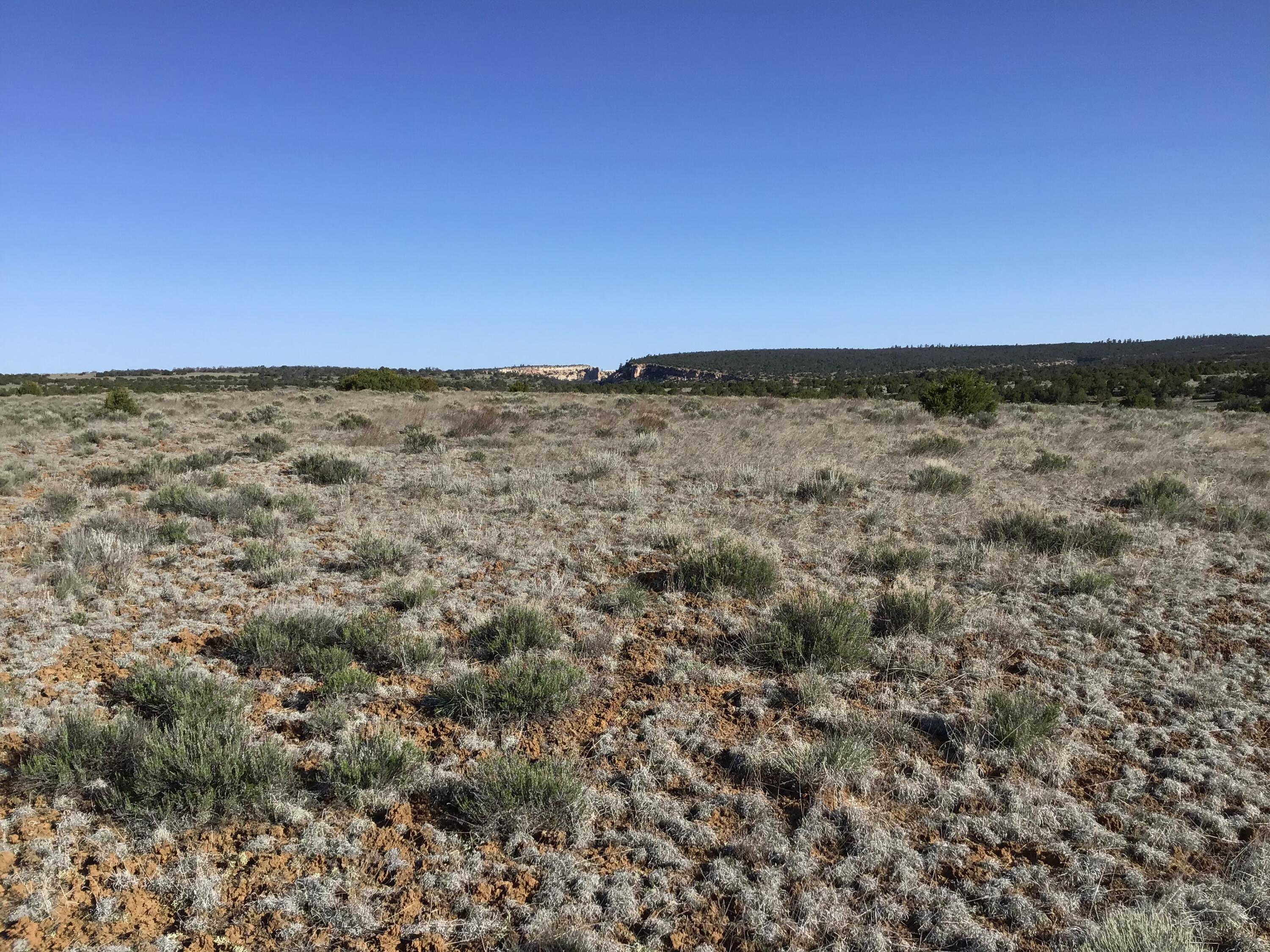 Lot 106 Ranch Drive, Ramah, New Mexico image 9