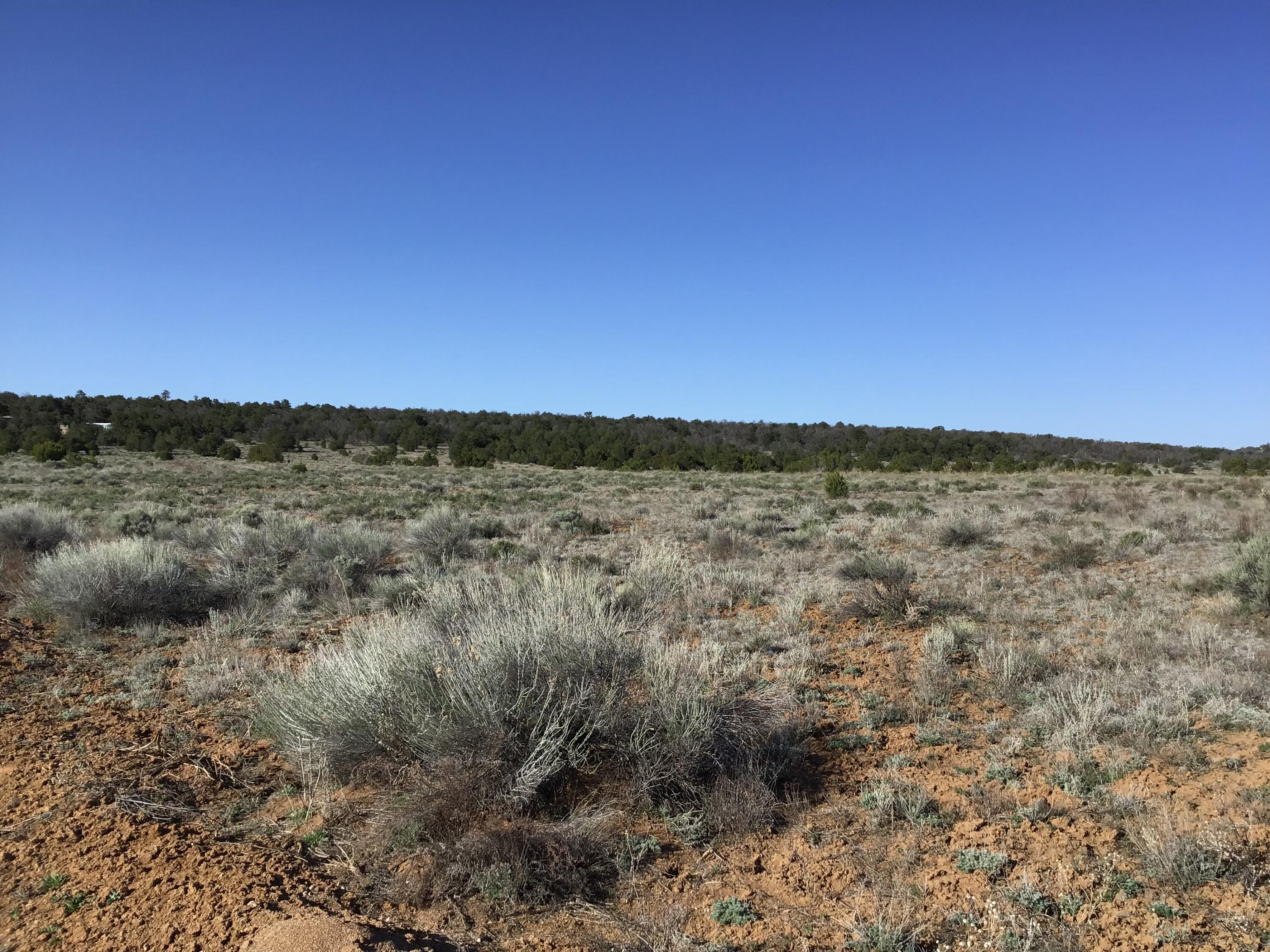 Lot 106 Ranch Drive, Ramah, New Mexico image 5