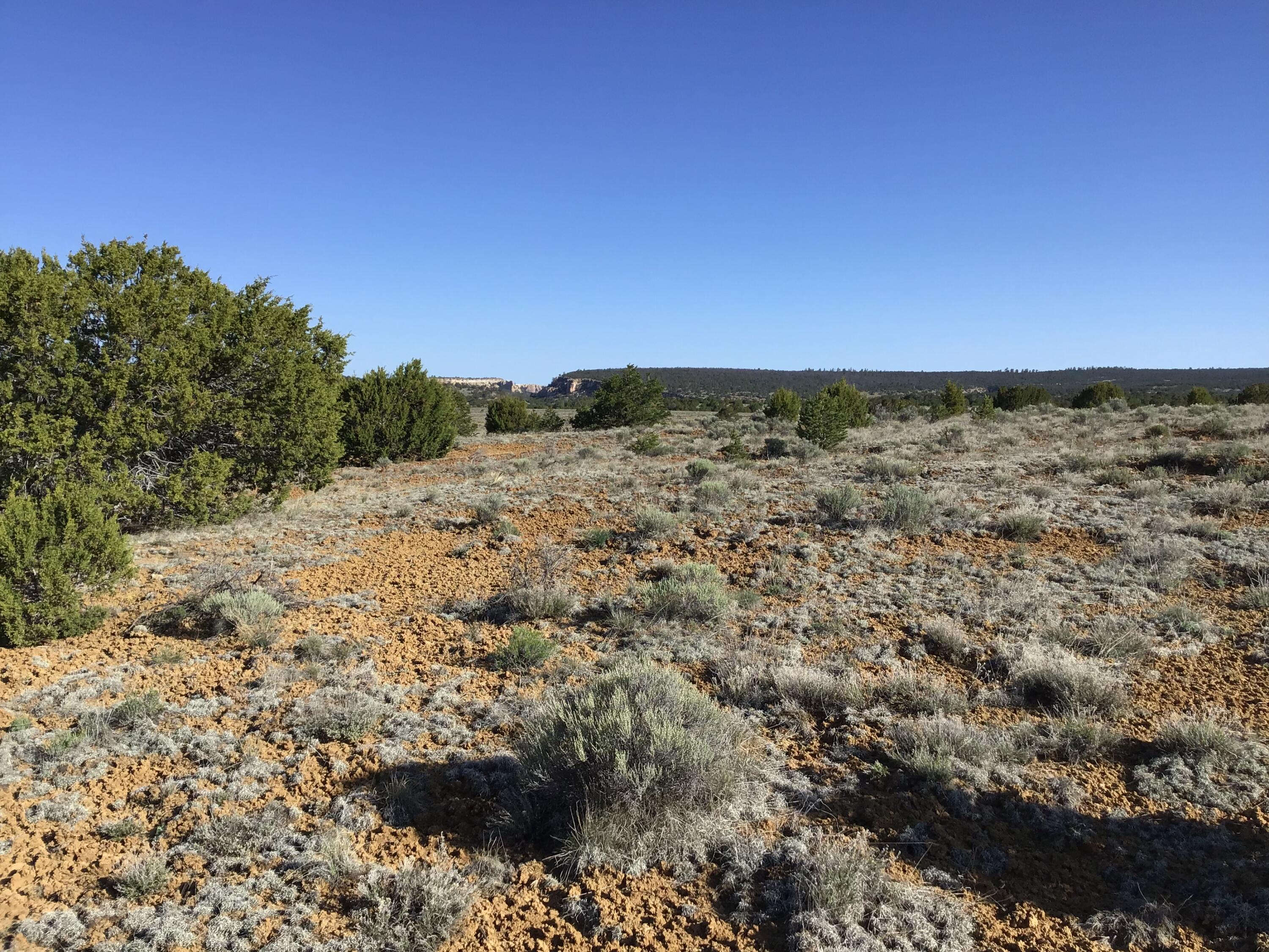 Lot 106 Ranch Drive, Ramah, New Mexico image 31