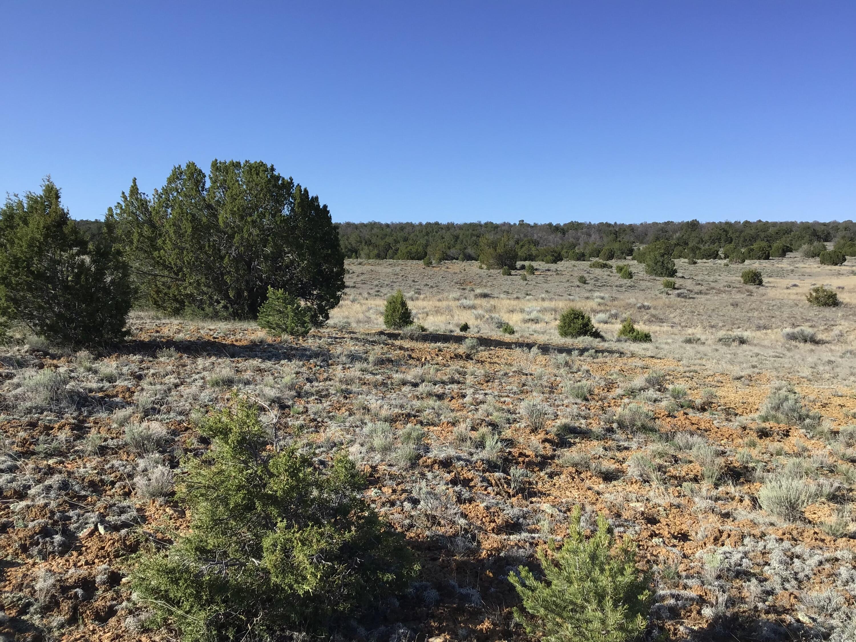 Lot 106 Ranch Drive, Ramah, New Mexico image 17