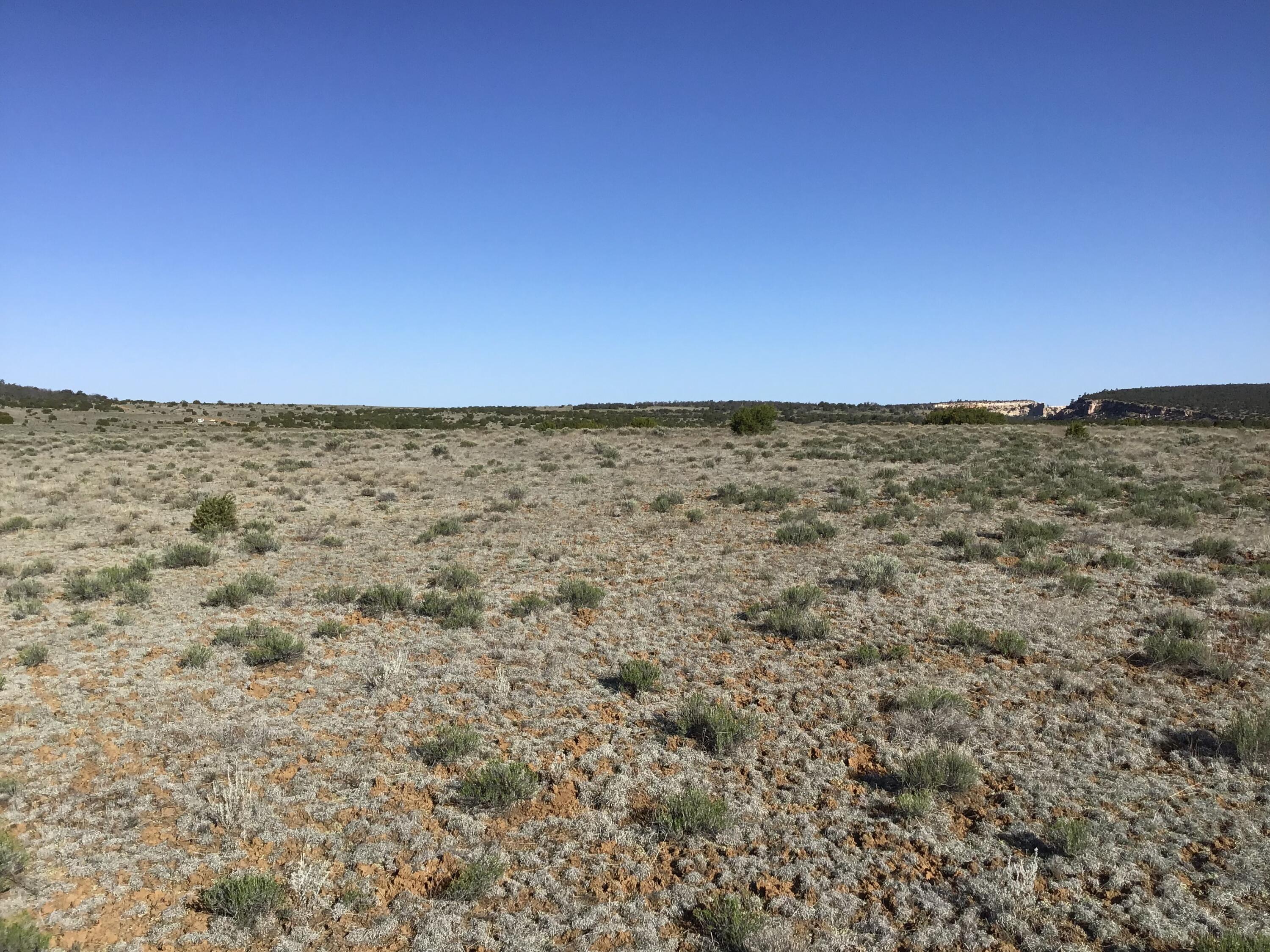 Lot 106 Ranch Drive, Ramah, New Mexico image 34