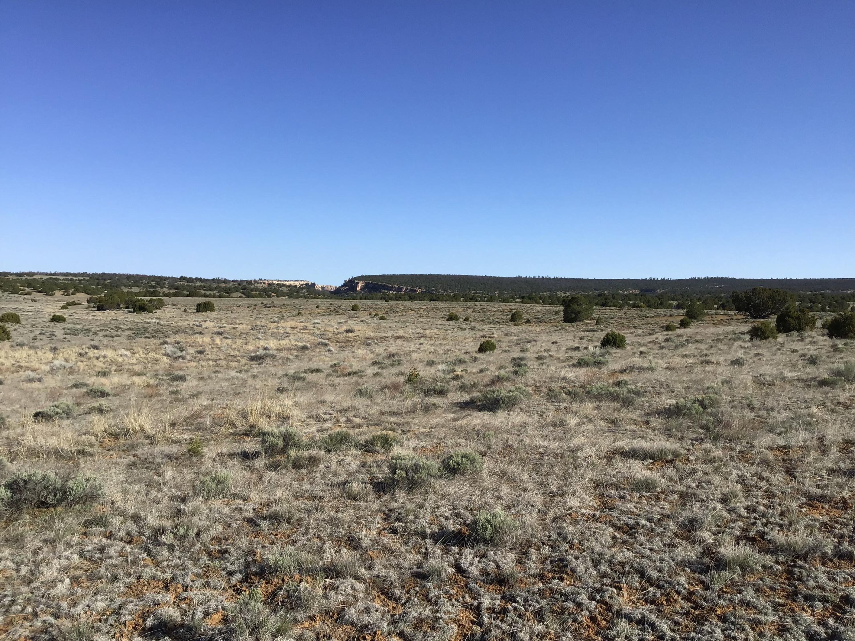 Lot 106 Ranch Drive, Ramah, New Mexico image 19