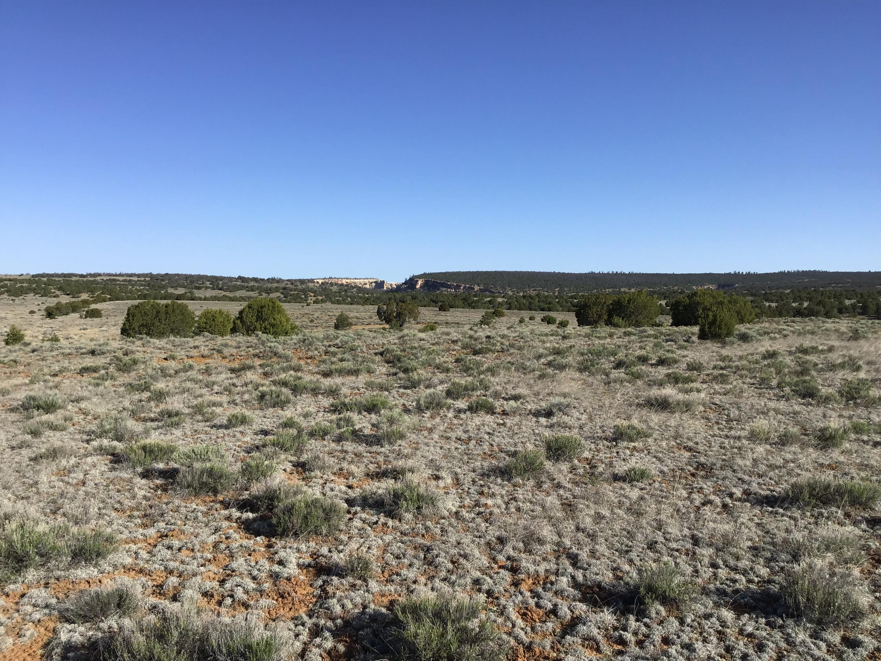 Lot 106 Ranch Drive, Ramah, New Mexico image 10