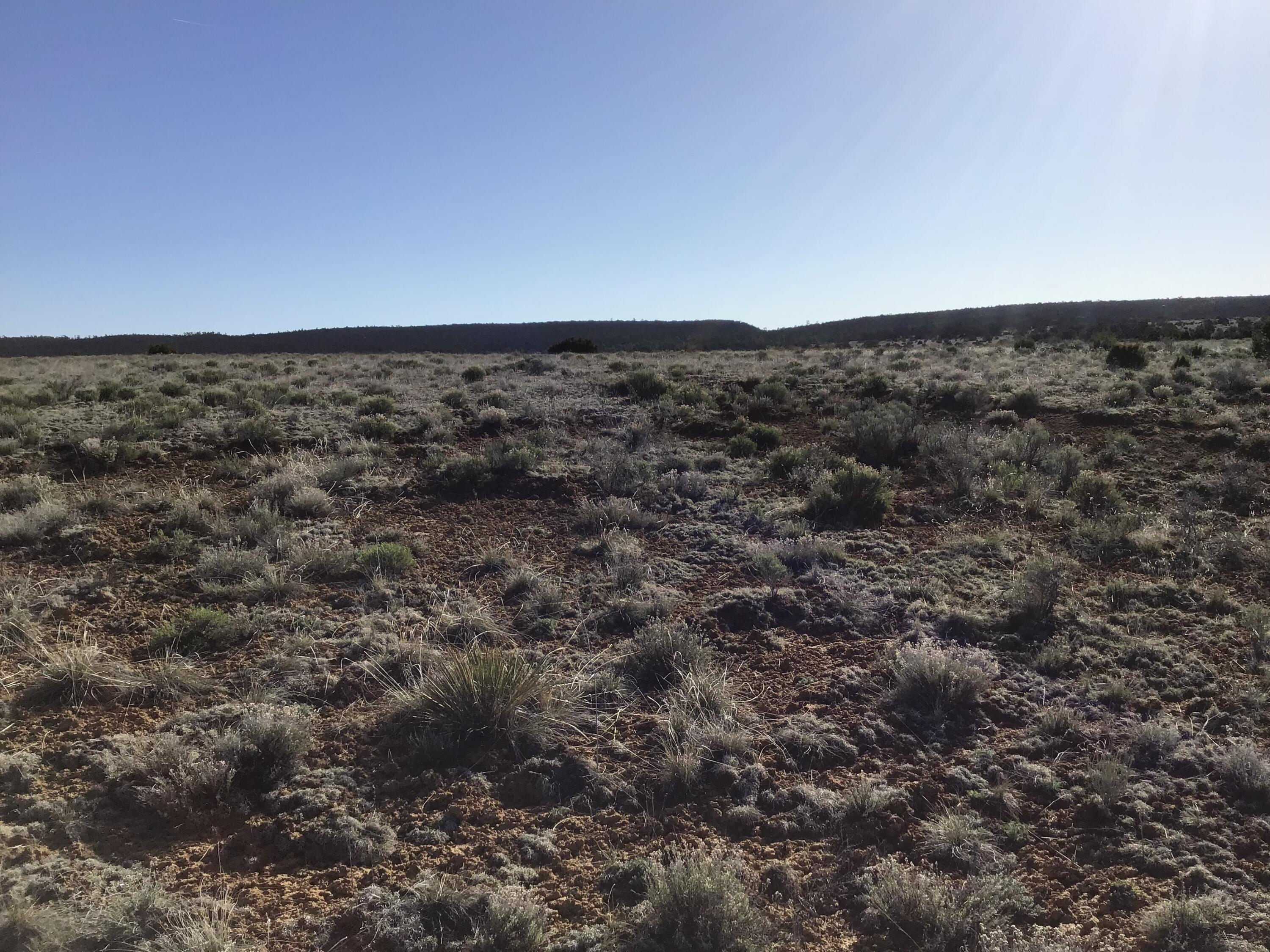 Lot 106 Ranch Drive, Ramah, New Mexico image 29