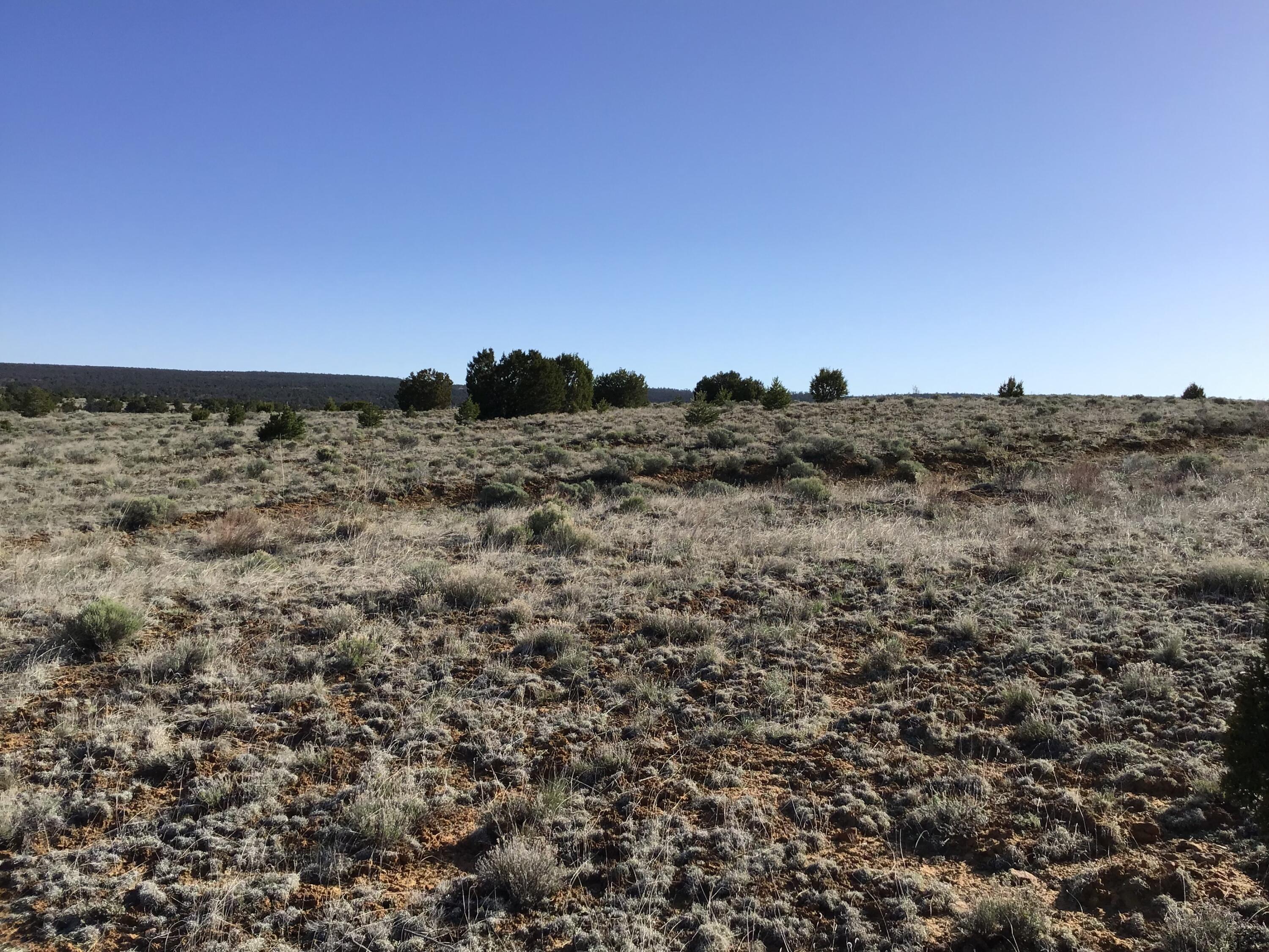 Lot 106 Ranch Drive, Ramah, New Mexico image 20