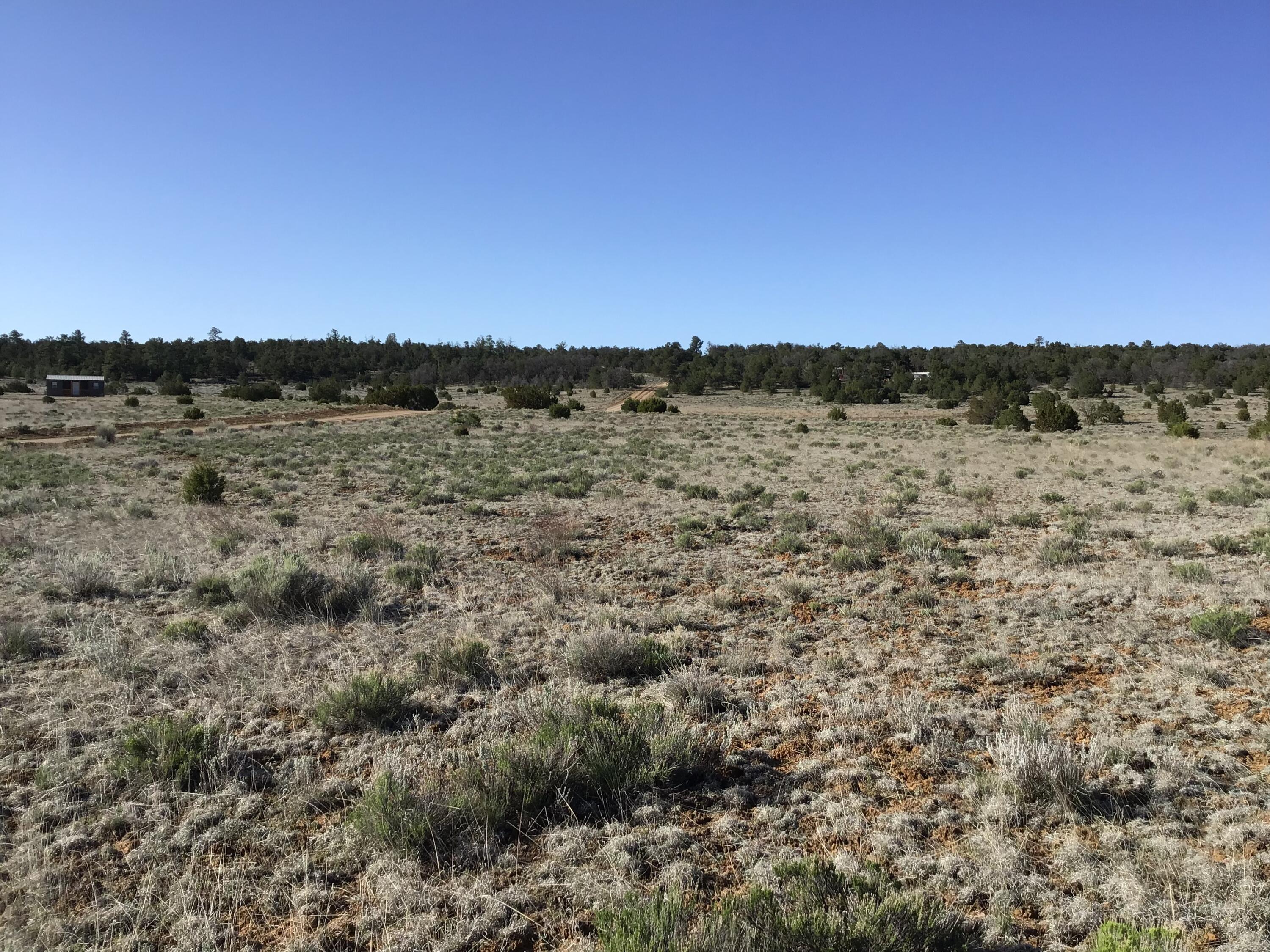 Lot 106 Ranch Drive, Ramah, New Mexico image 6