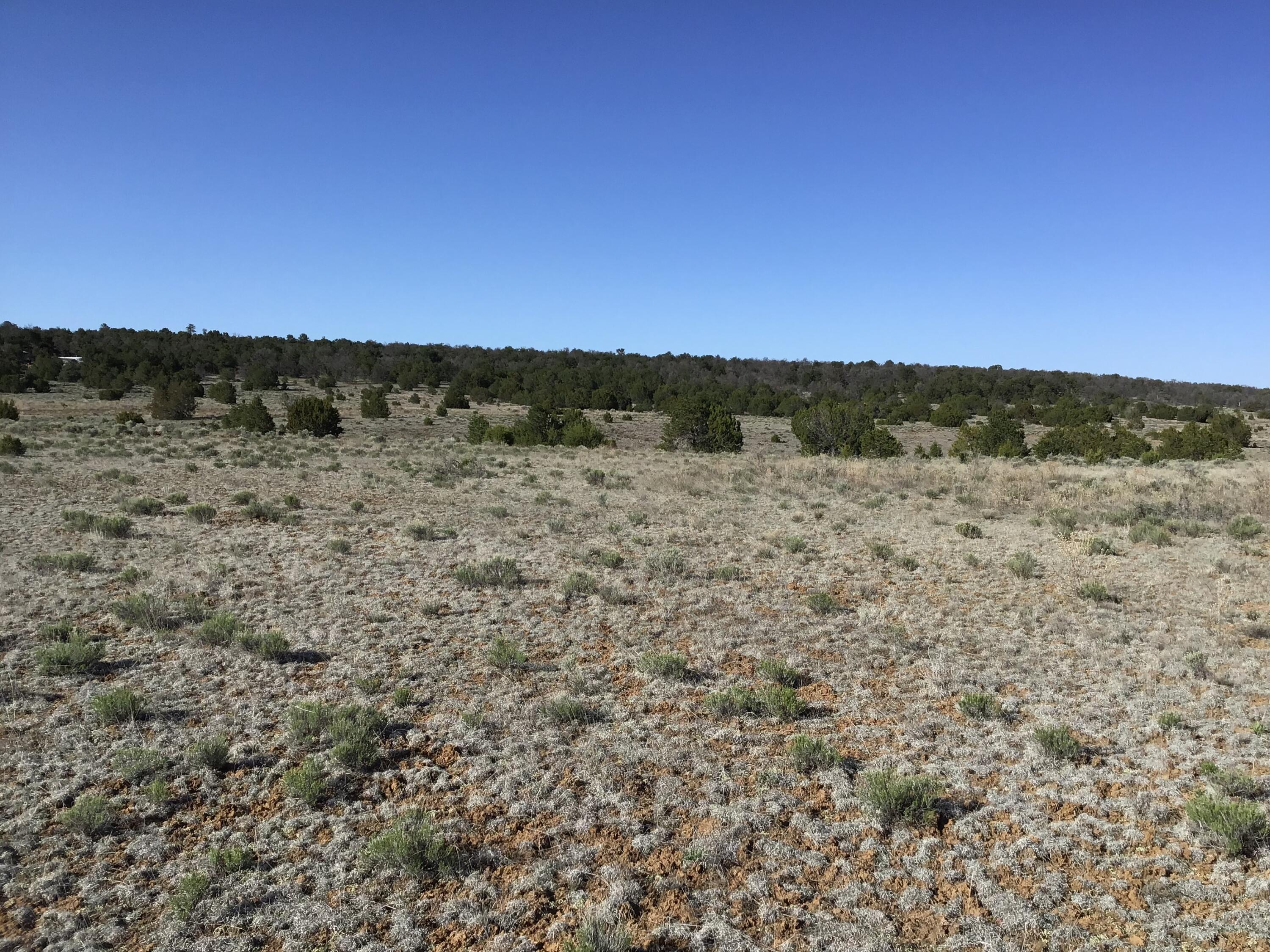 Lot 106 Ranch Drive, Ramah, New Mexico image 36