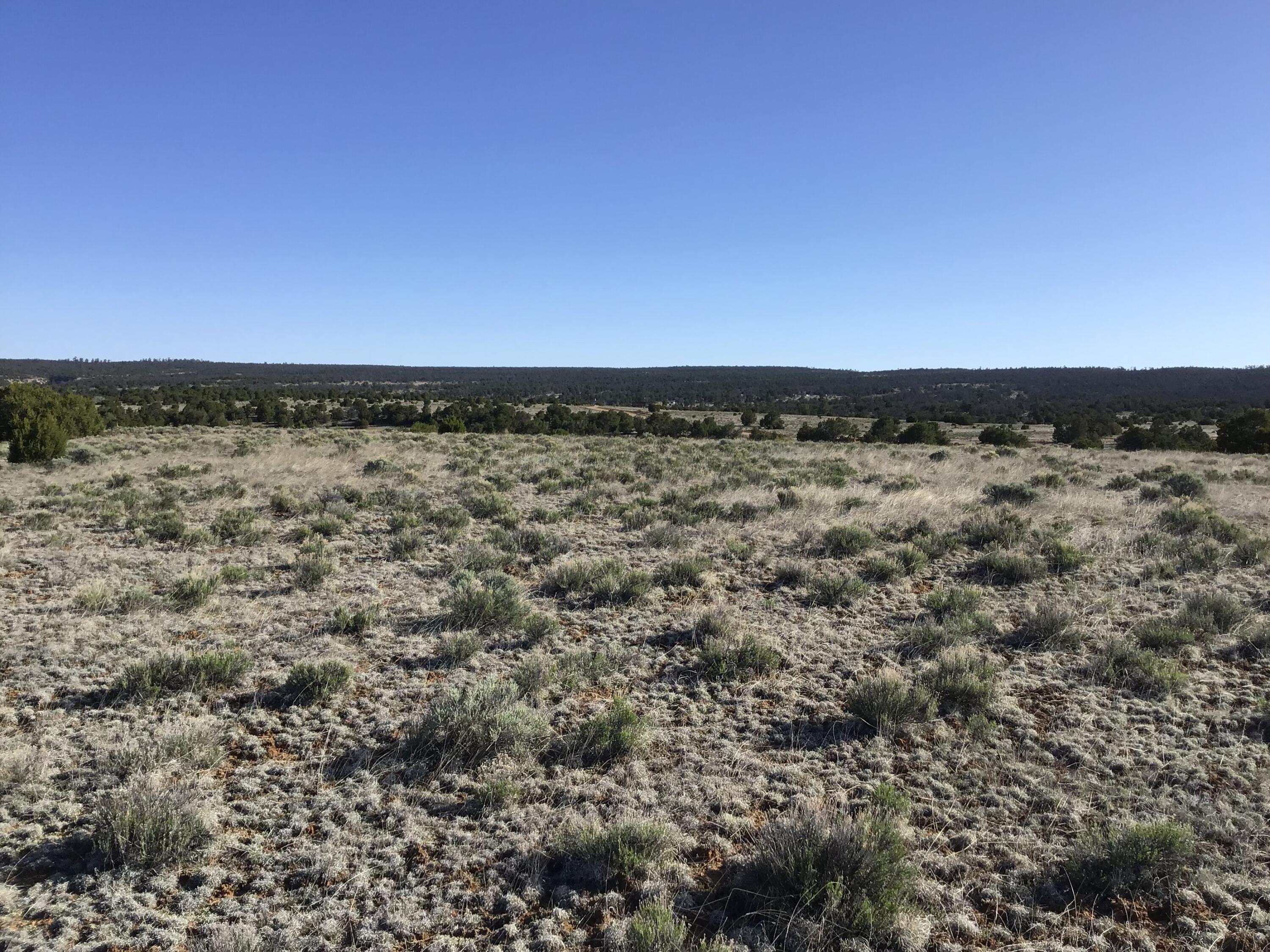 Lot 106 Ranch Drive, Ramah, New Mexico image 11