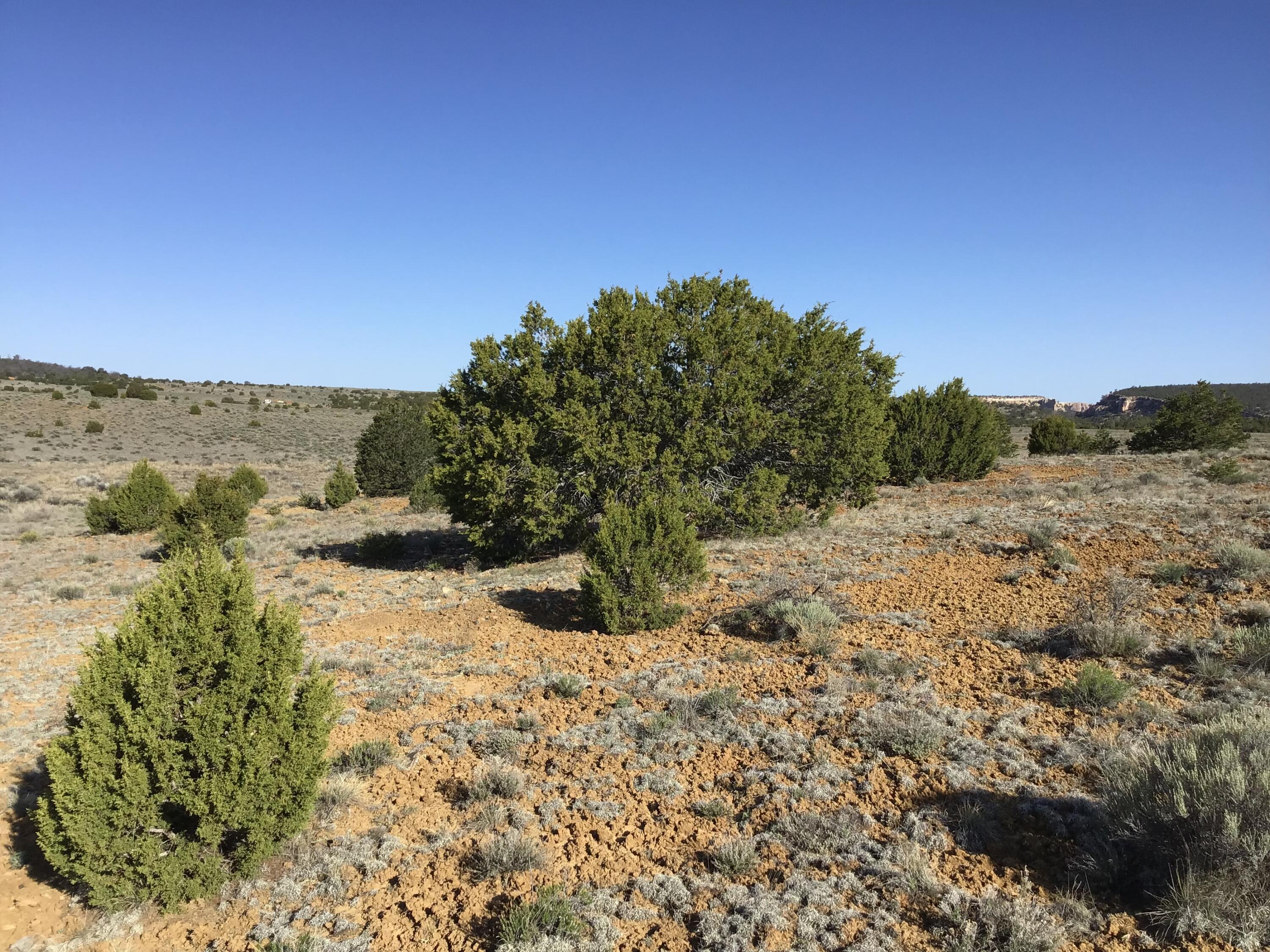 Lot 106 Ranch Drive, Ramah, New Mexico image 32