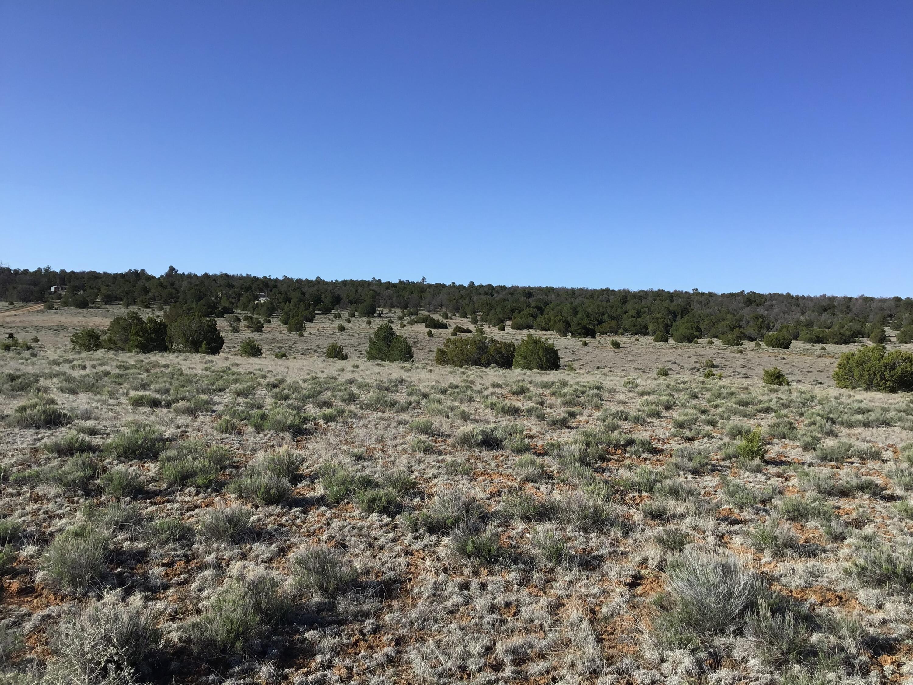 Lot 106 Ranch Drive, Ramah, New Mexico image 14