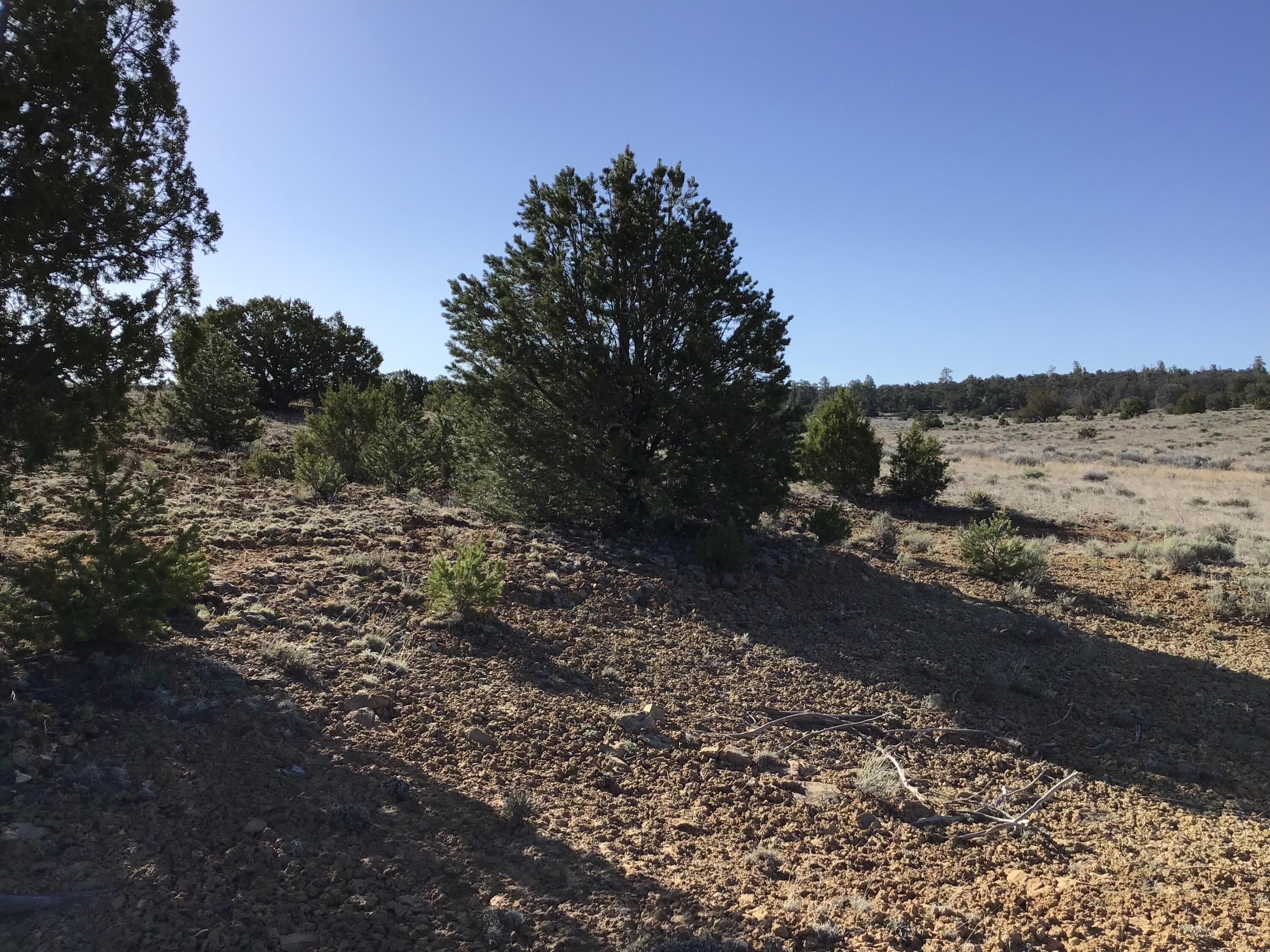 Lot 106 Ranch Drive, Ramah, New Mexico image 22