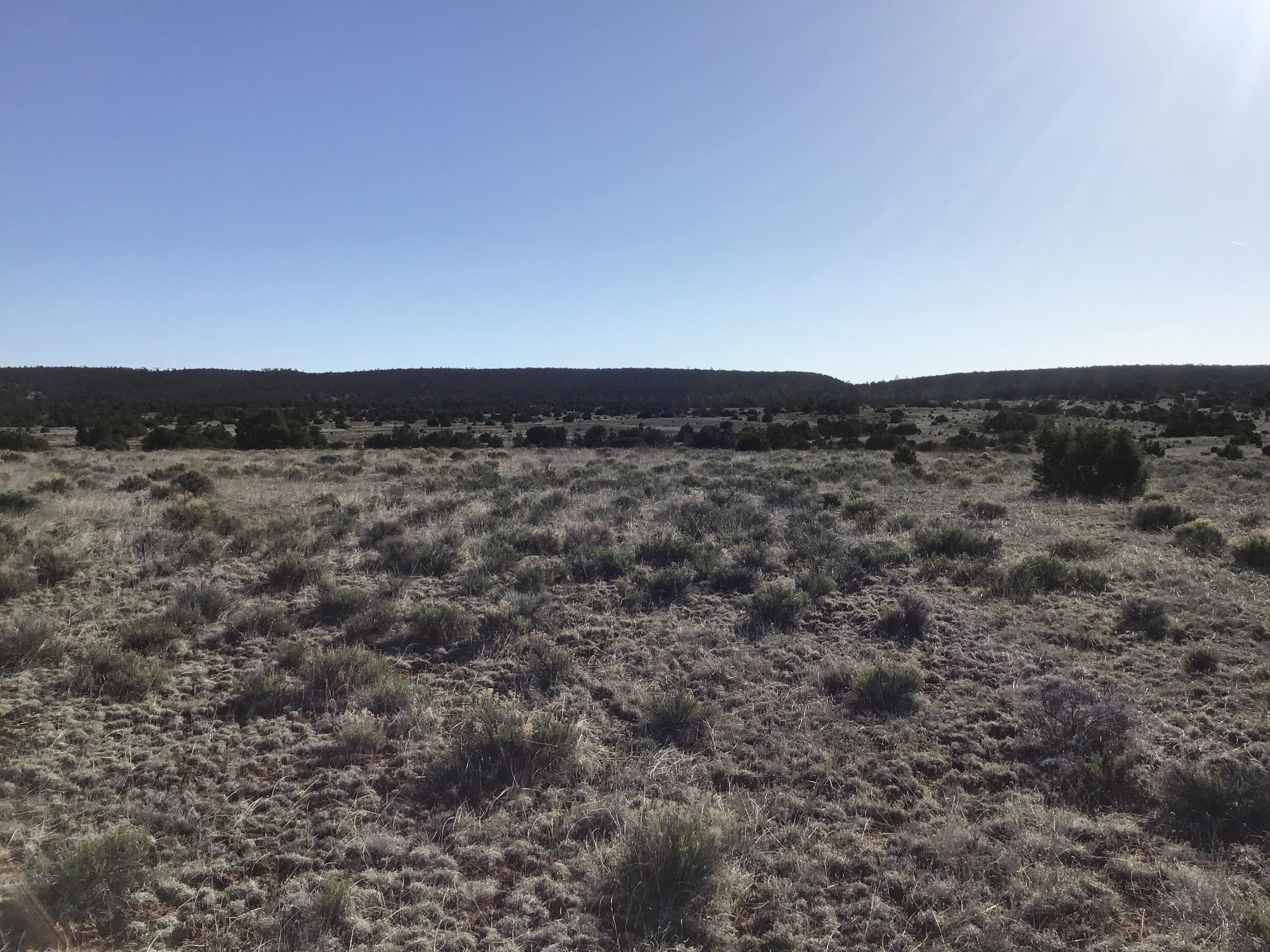 Lot 106 Ranch Drive, Ramah, New Mexico image 12