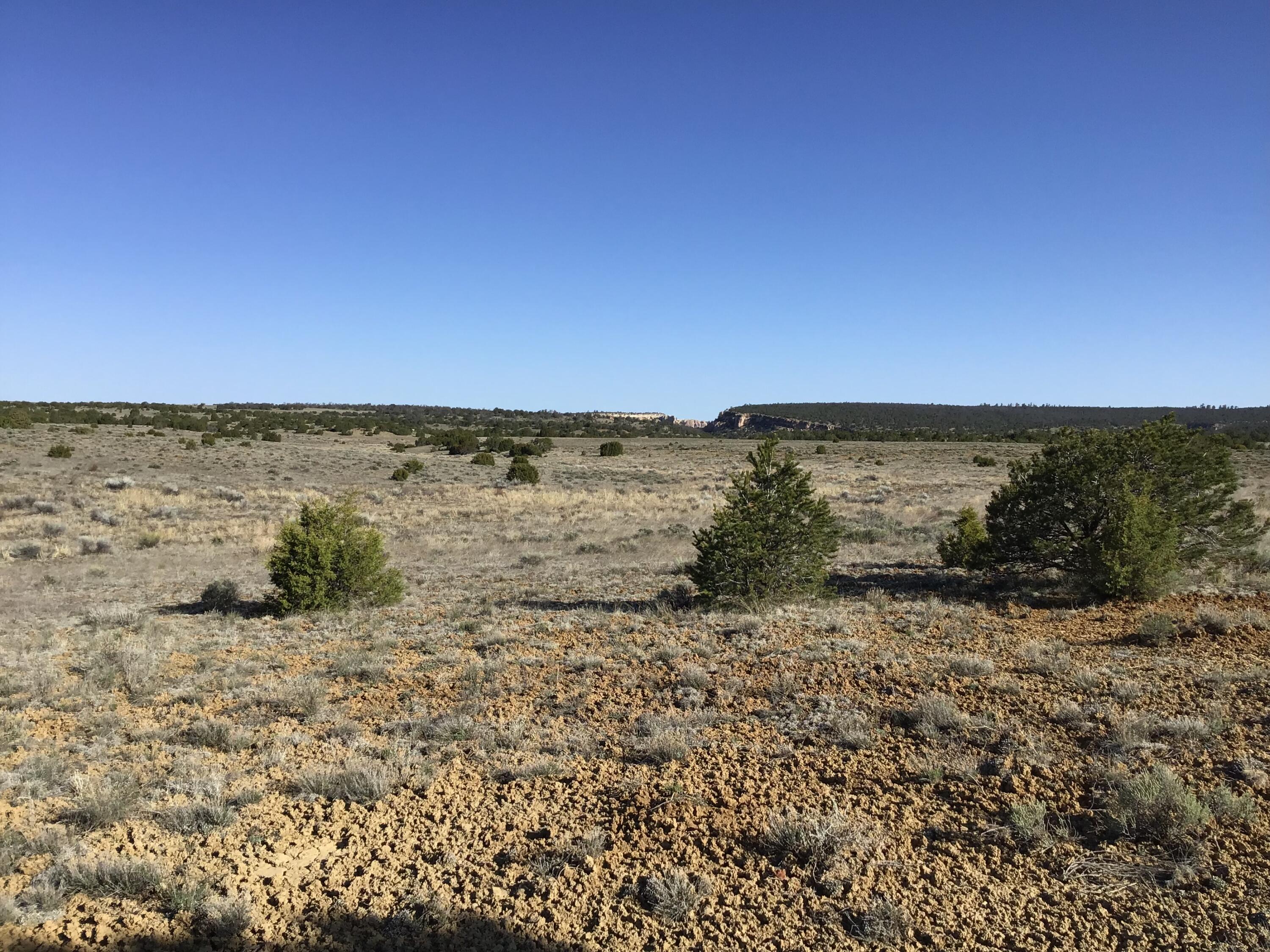 Lot 106 Ranch Drive, Ramah, New Mexico image 24