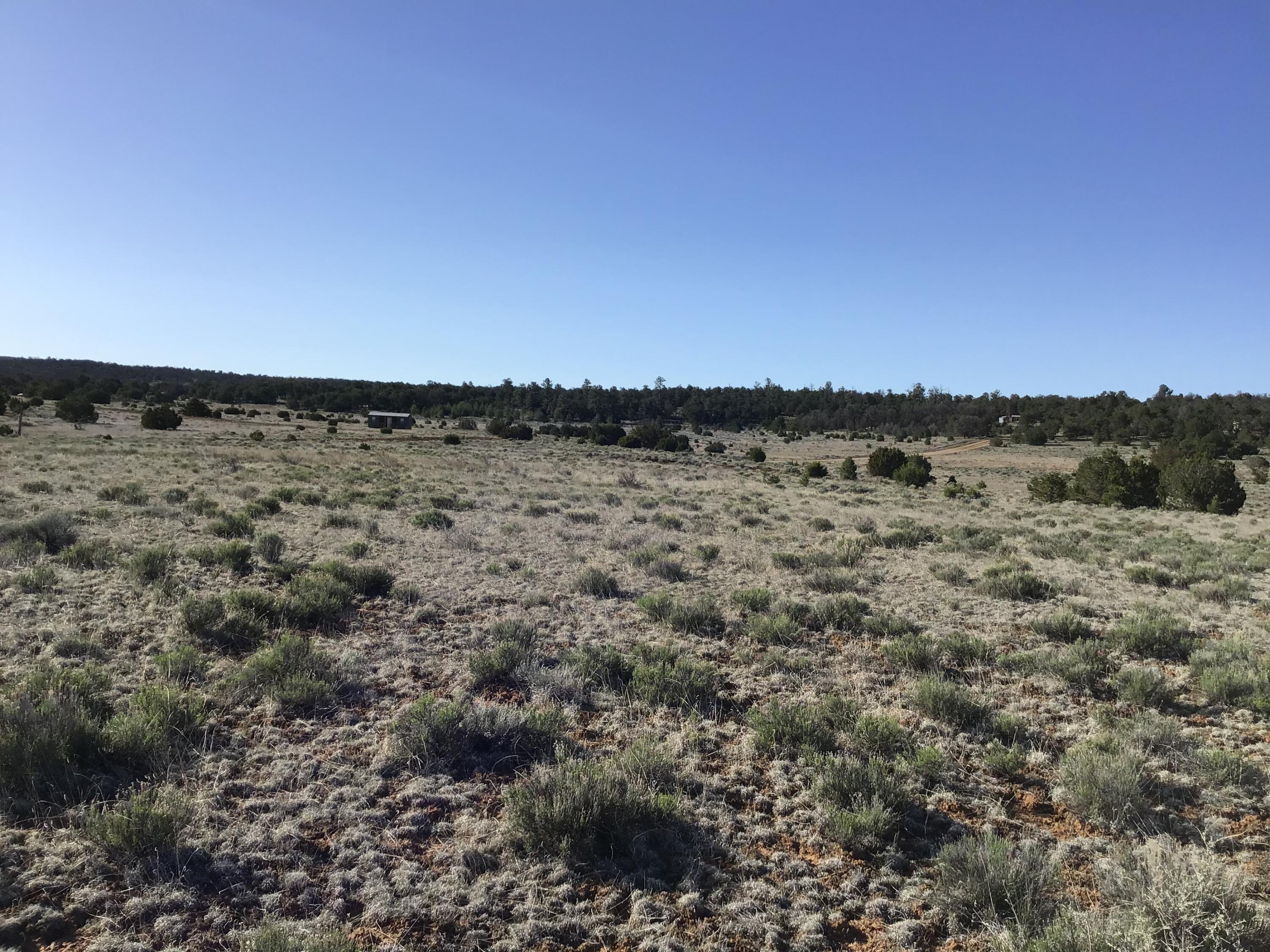 Lot 106 Ranch Drive, Ramah, New Mexico image 13