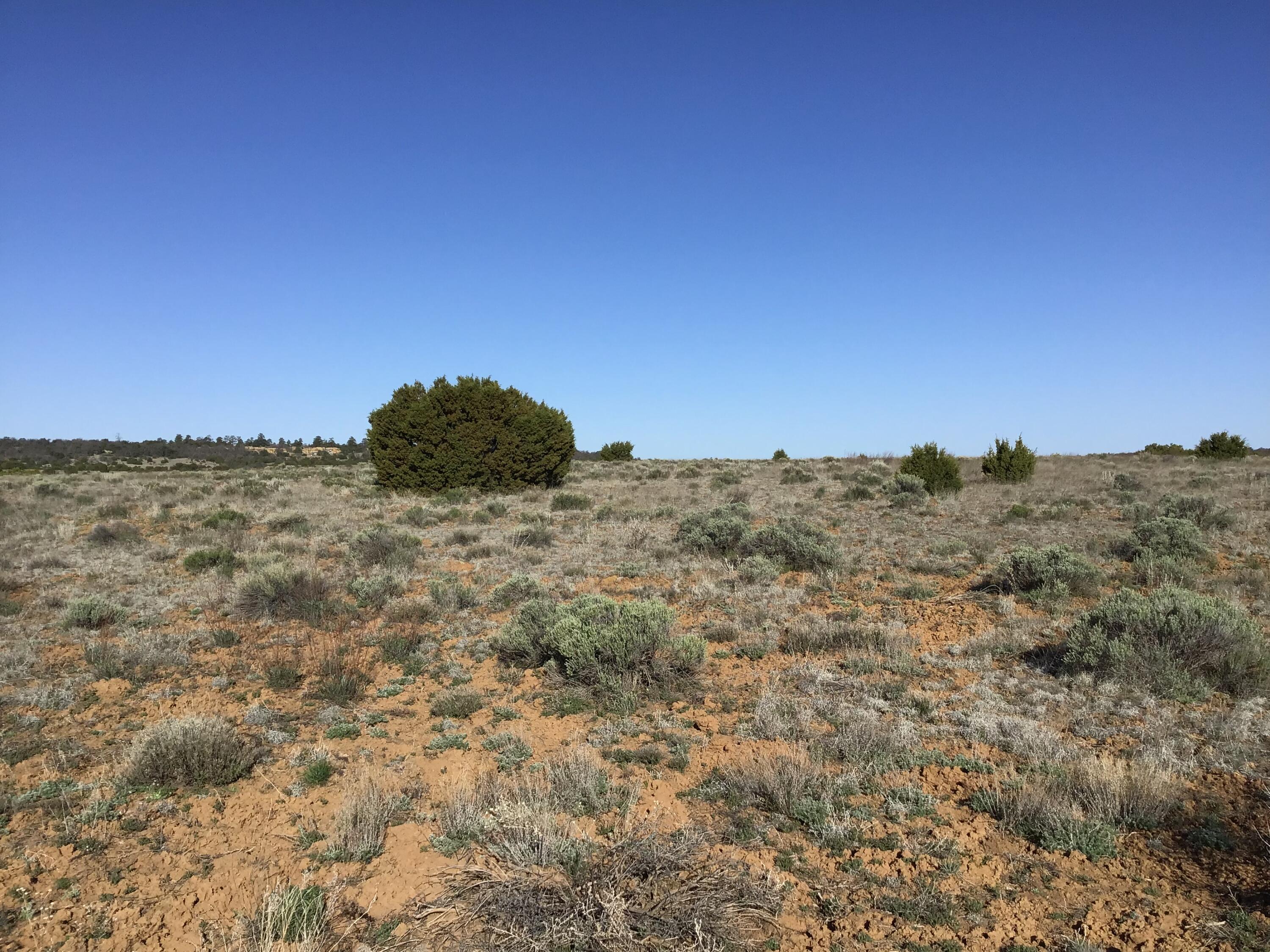 Lot 106 Ranch Drive, Ramah, New Mexico image 3