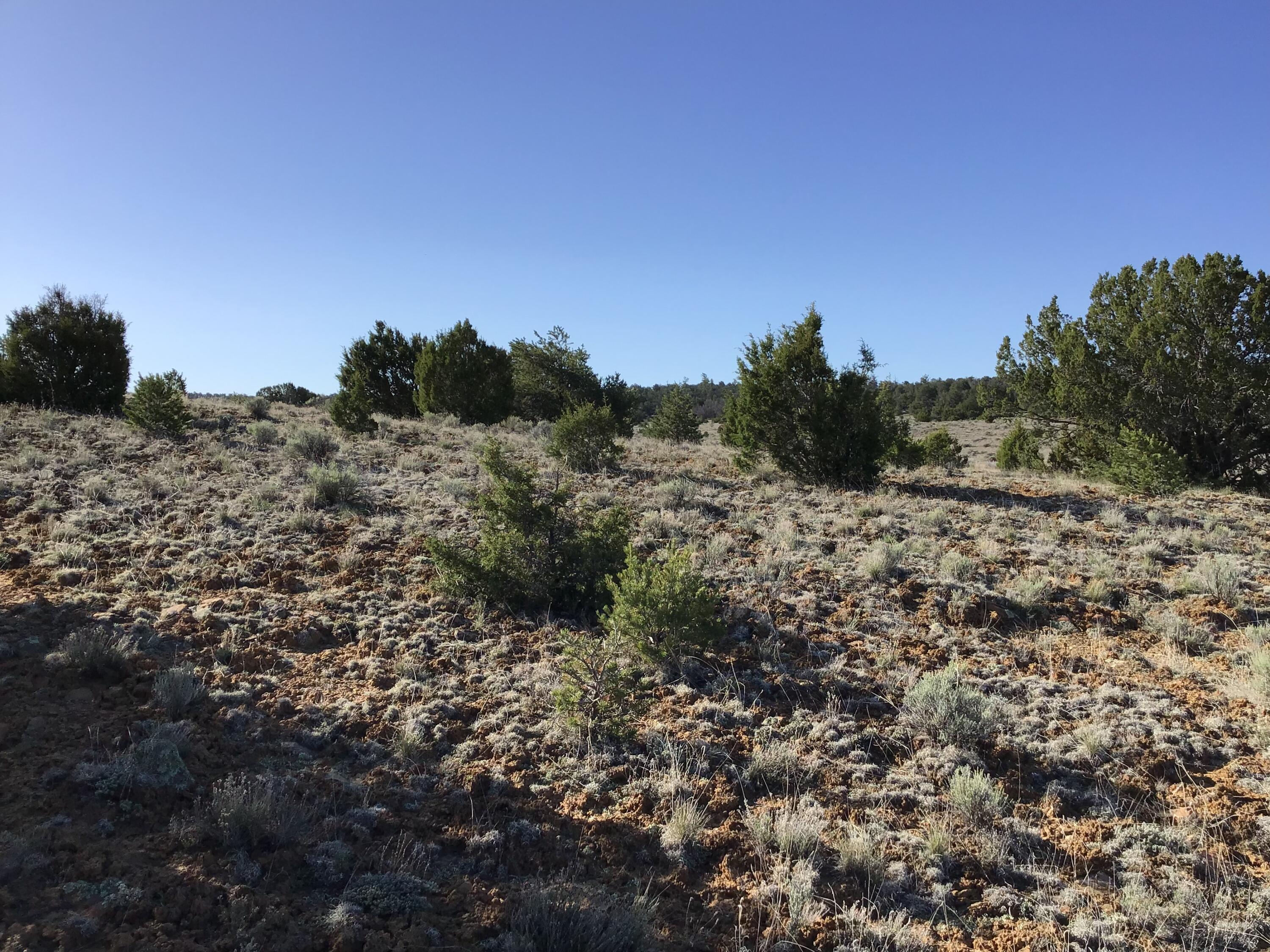 Lot 106 Ranch Drive, Ramah, New Mexico image 21