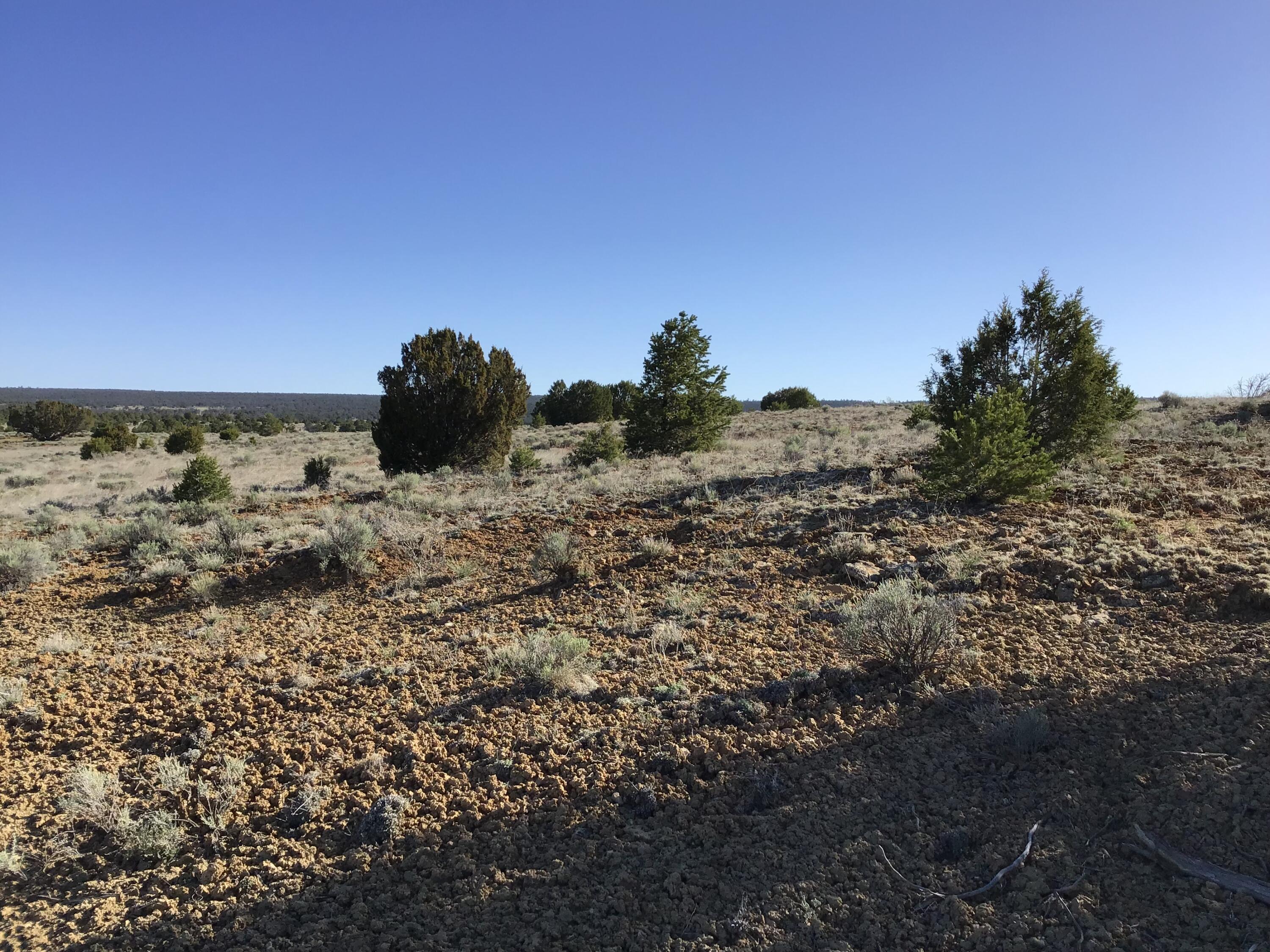 Lot 106 Ranch Drive, Ramah, New Mexico image 25