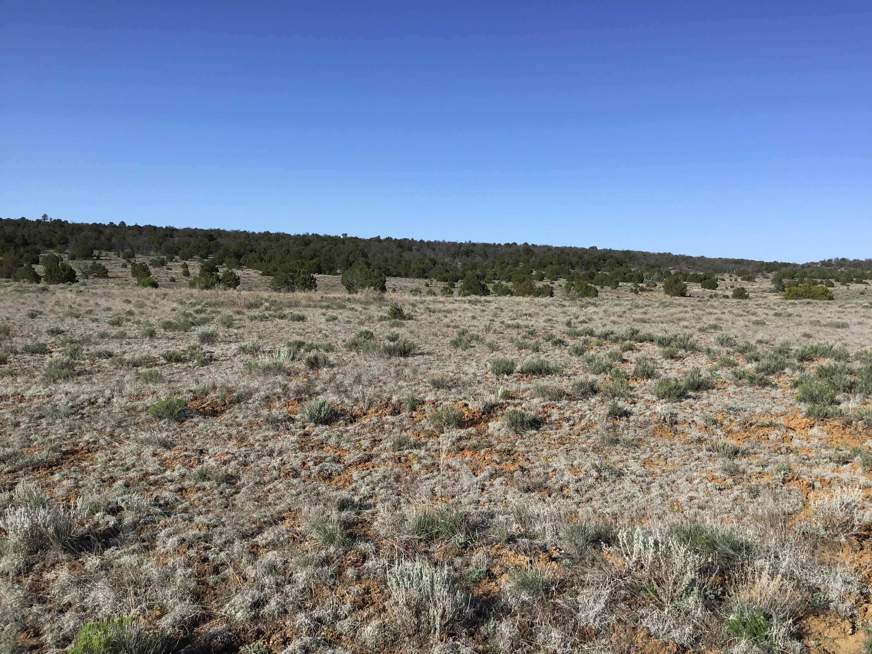 Lot 106 Ranch Drive, Ramah, New Mexico image 7