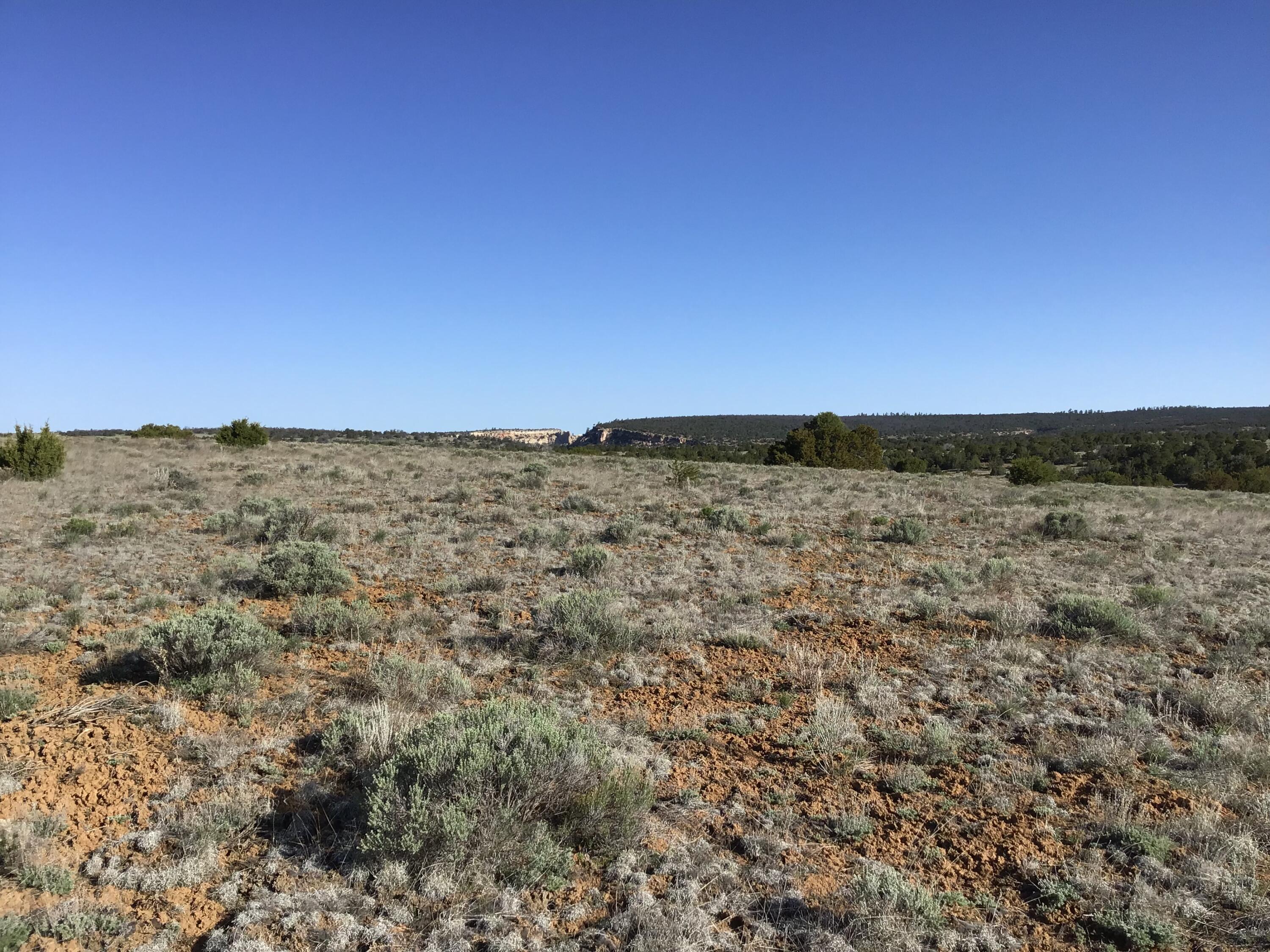 Lot 106 Ranch Drive, Ramah, New Mexico image 1