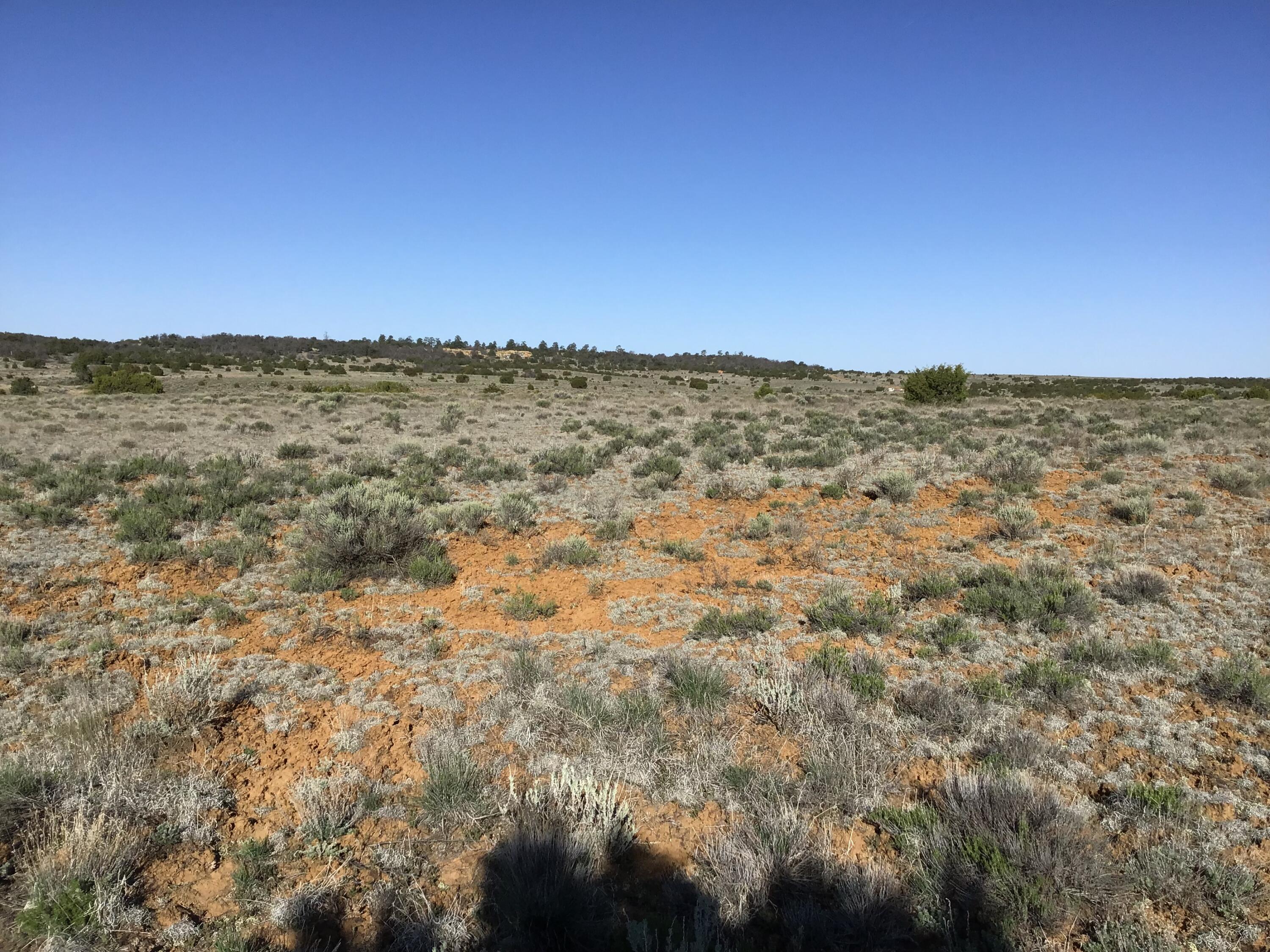 Lot 106 Ranch Drive, Ramah, New Mexico image 8