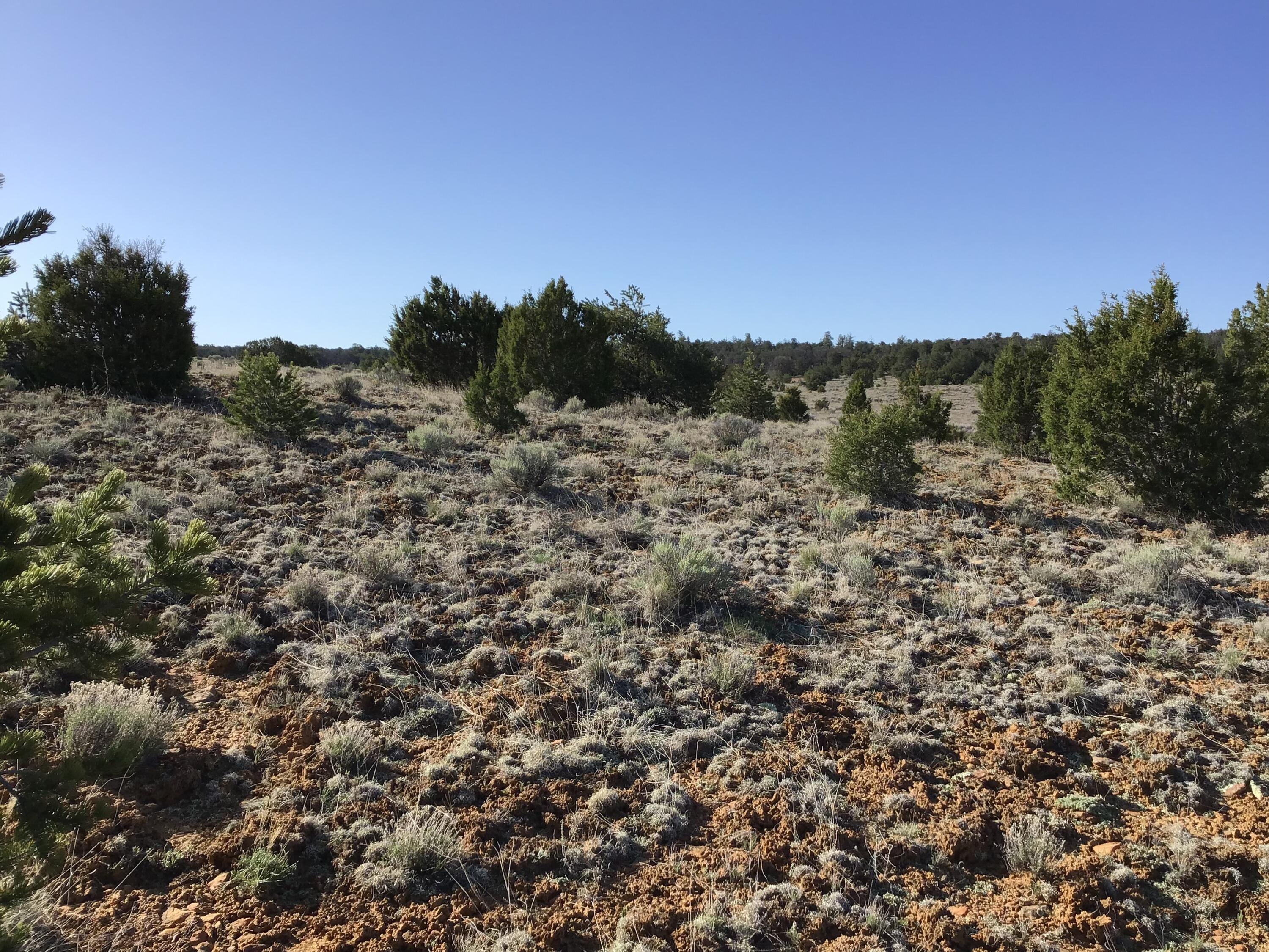 Lot 106 Ranch Drive, Ramah, New Mexico image 16