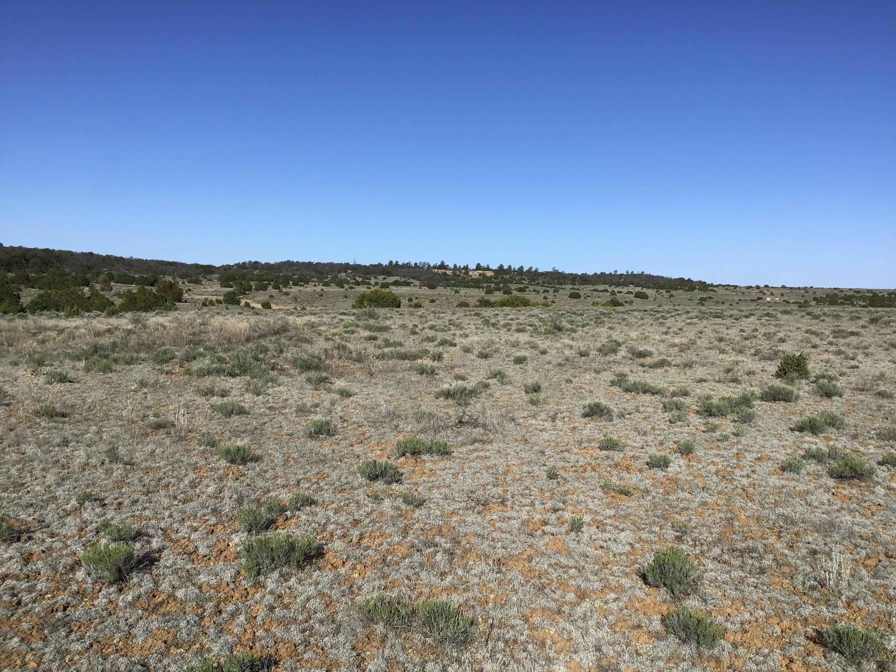 Lot 106 Ranch Drive, Ramah, New Mexico image 35